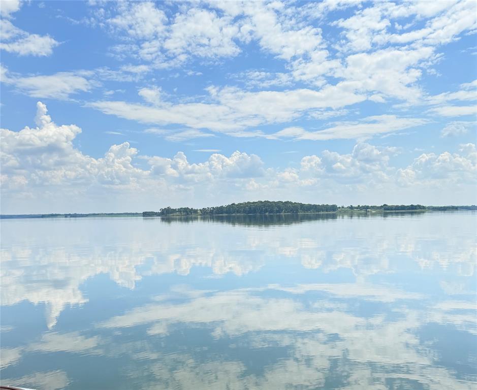 Honey Grove, Texas, 75446, United States, ,Land,For Sale,1849067