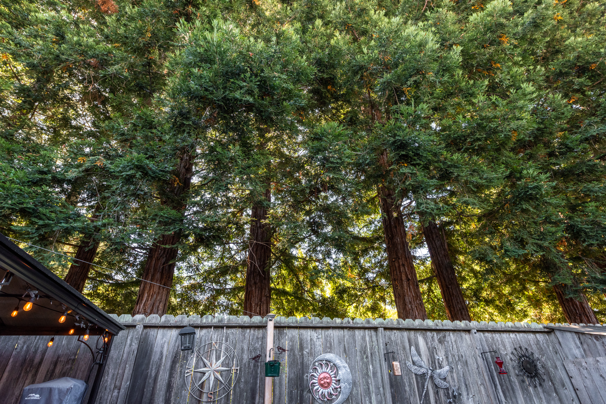  North Napa Hidden Gem in Hearthstone Neighborhood - 物件實景