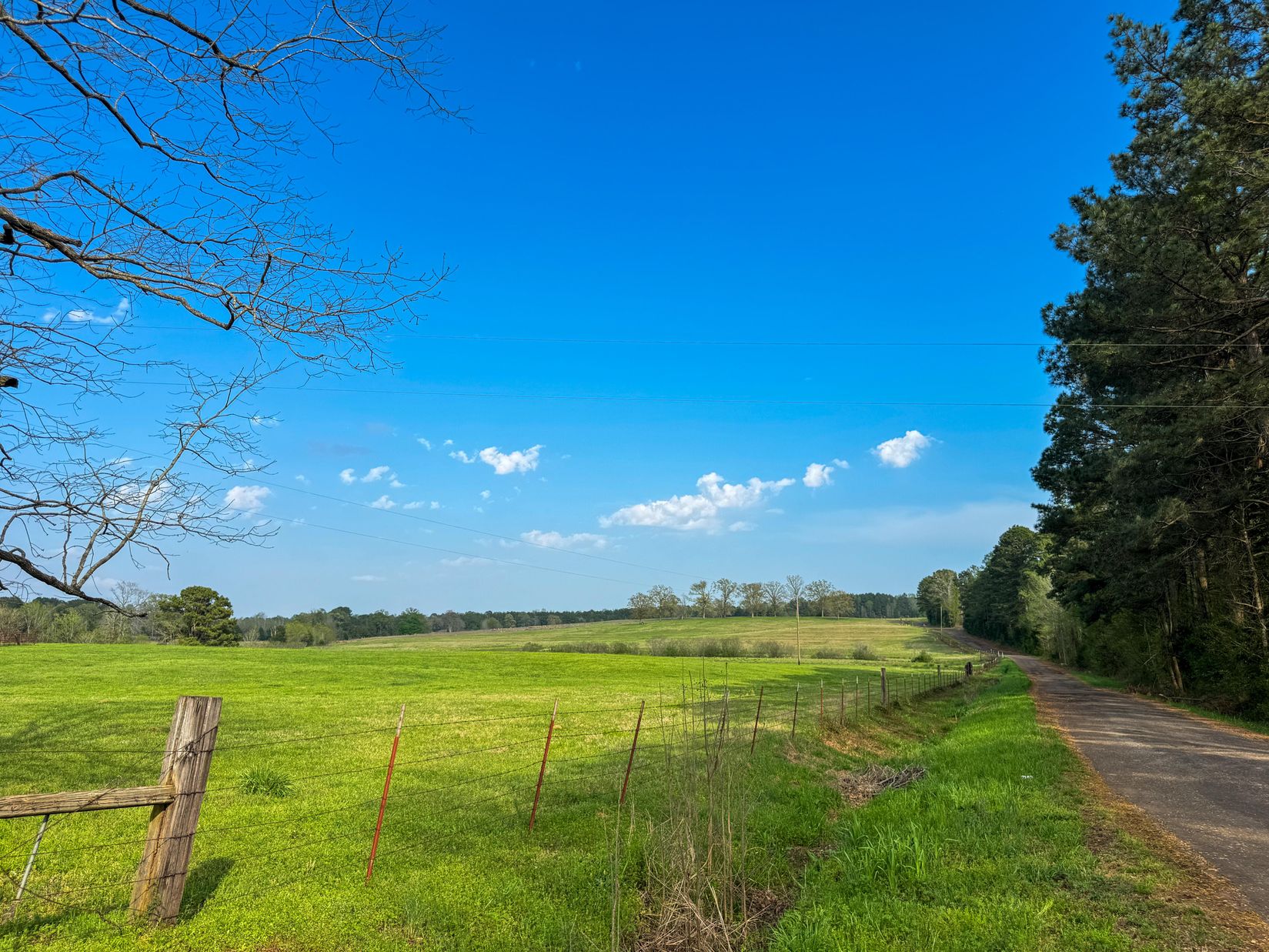 Bivins, Texas, 75555, United States, ,Residential,For Sale,1755933