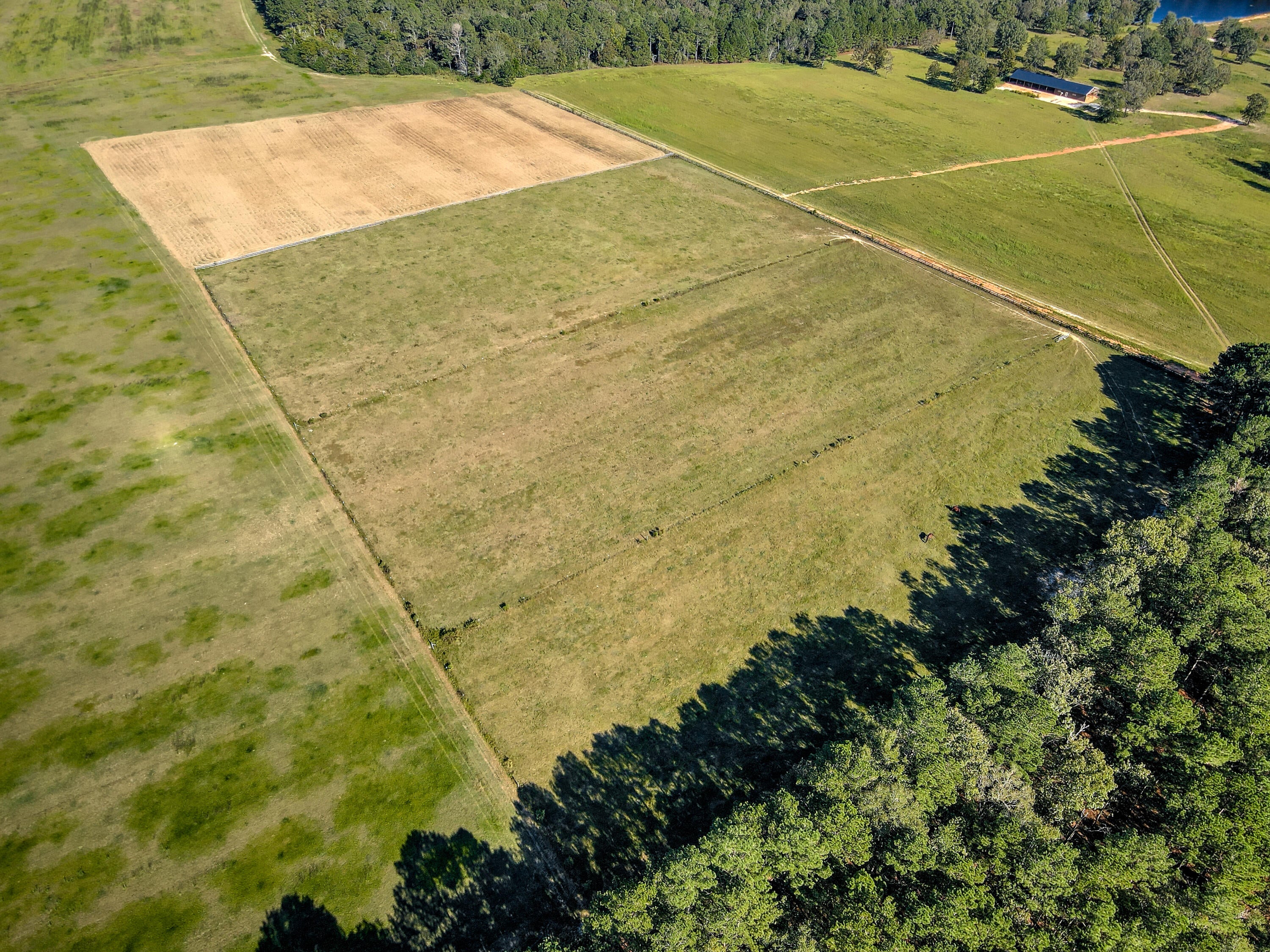 Wagener, South Carolina, 29164, United States, ,Land,For Sale,1969040