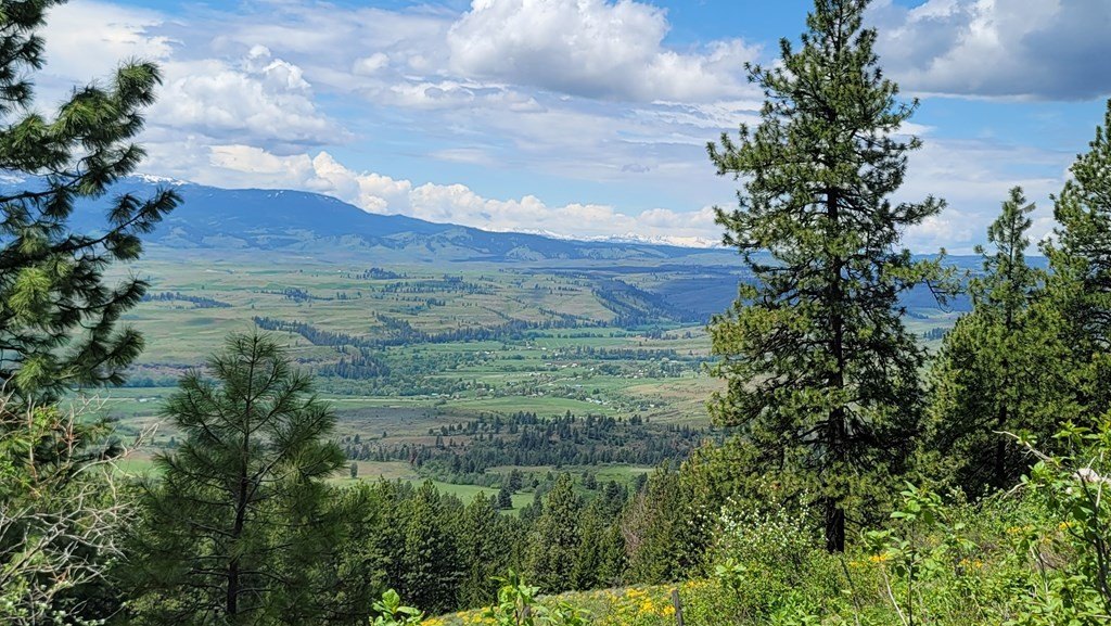 Council, Idaho, 83612, United States, 3 Bedrooms Bedrooms, ,2 BathroomsBathrooms,Residential,For Sale,1980798