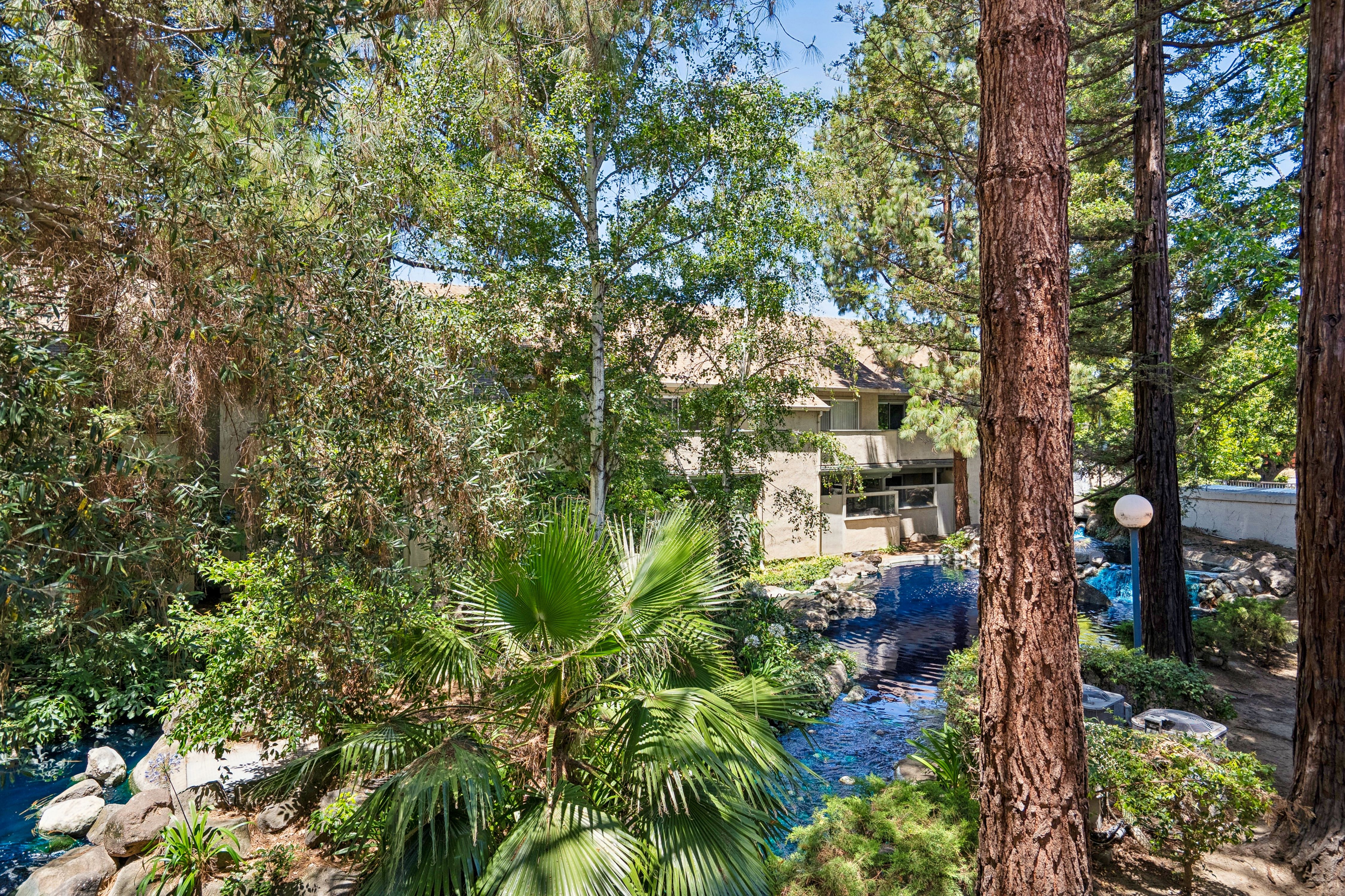  Comfort, Convenience, and Amenities in The Heart of San Jose - 物件實景