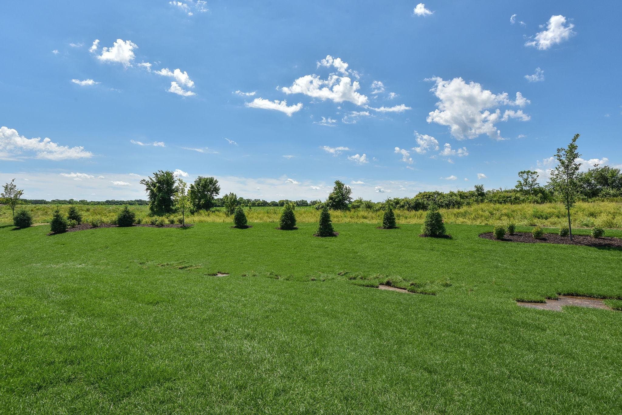 Otsego, Minnesota, 55330, United States, 3 Bedrooms Bedrooms, ,1 BathroomBathrooms,Residential,For Sale,1999559