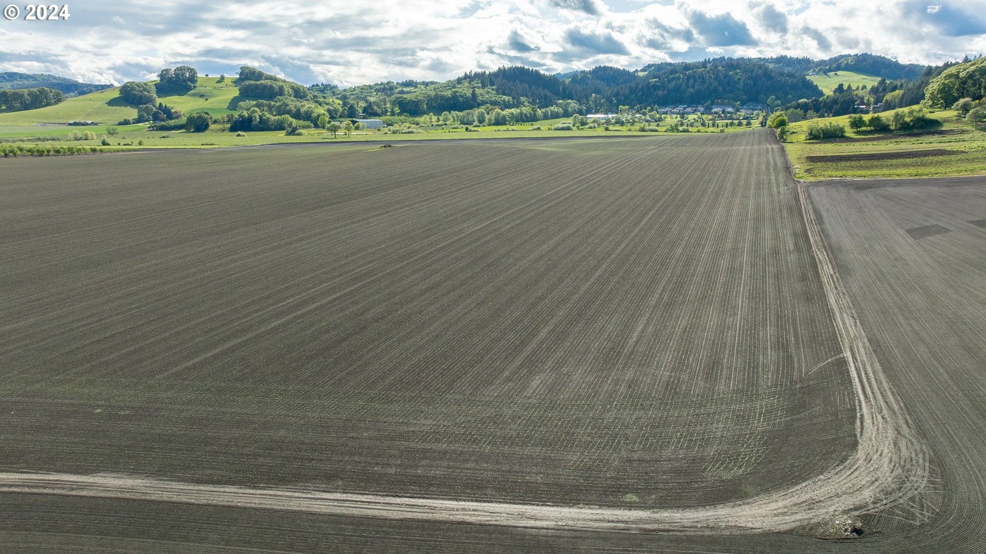 0 SW YOUNGBERG HILL RD, McMinnville, Oregon, 97128, United States, ,Land,For Sale,0 SW YOUNGBERG HILL RD,1523694