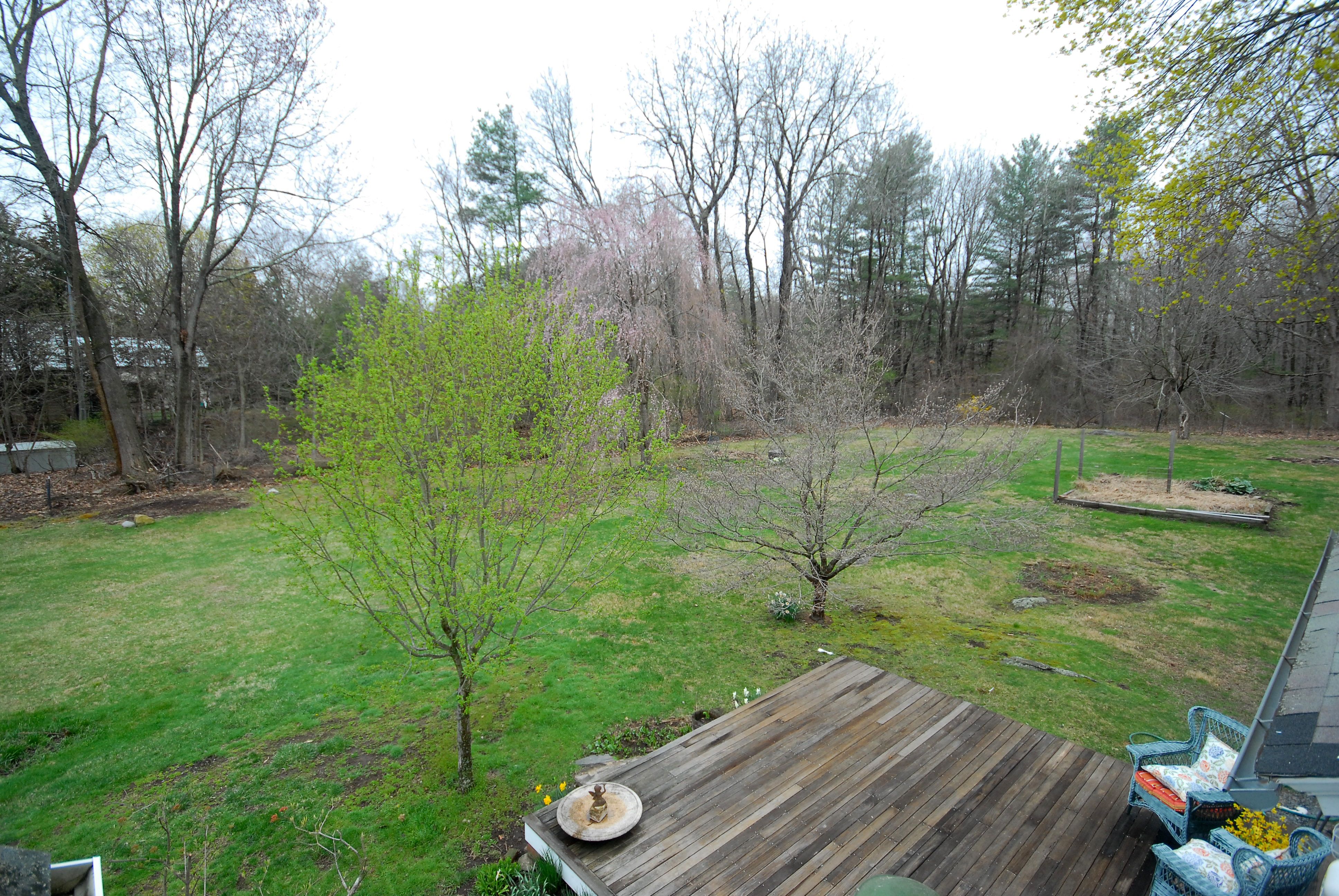  15 Martin Street, Acton, MA 01720 - 物件實景