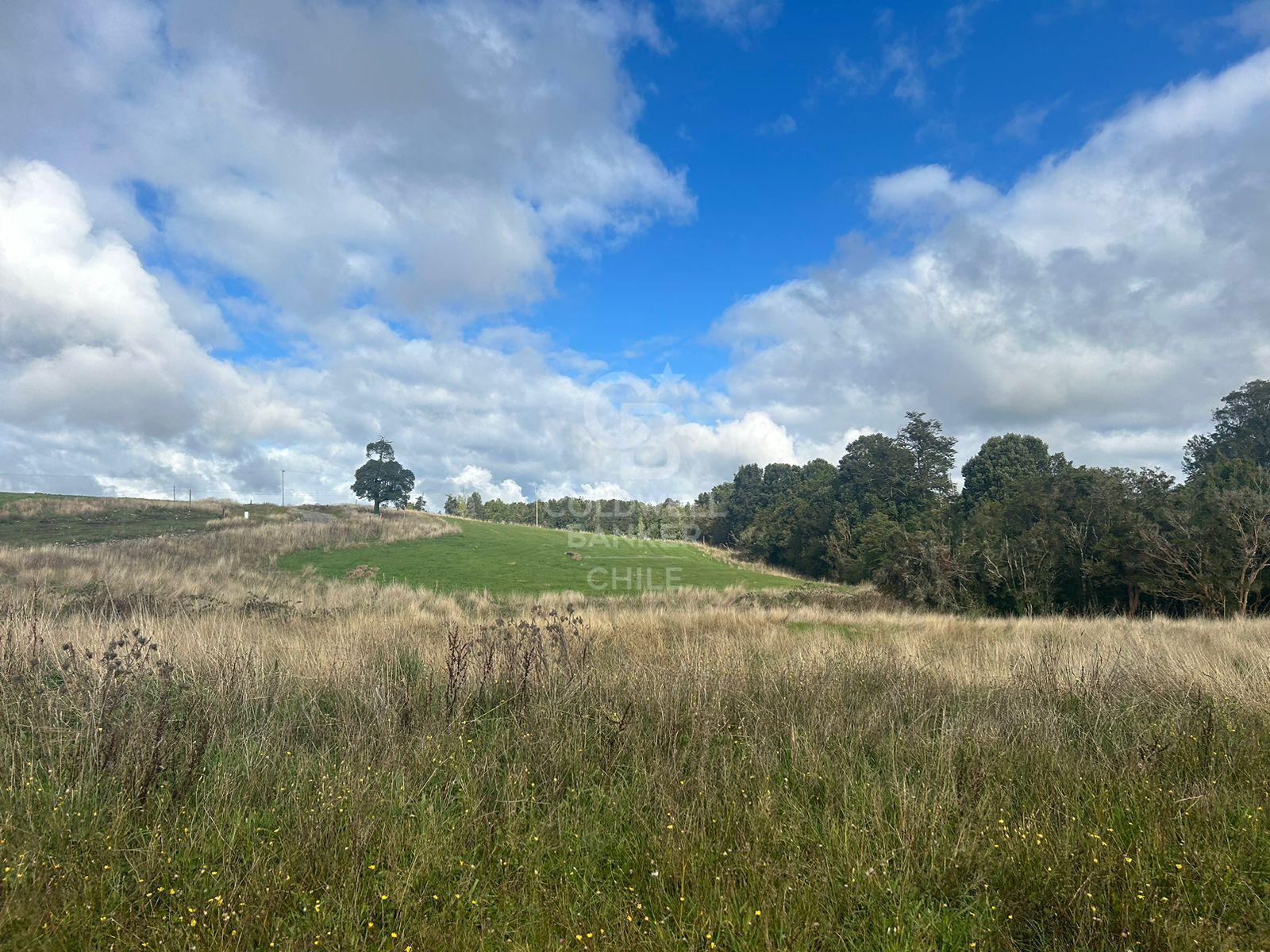 Puerto Varas, Chile, ,Residential,For Sale,2003315
