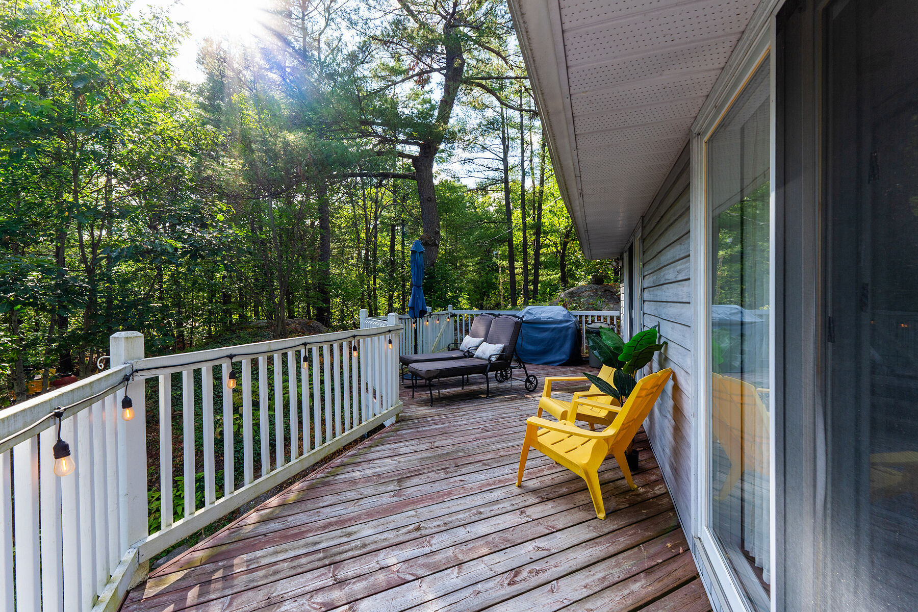  Beautifully Updated Home - 物件實景