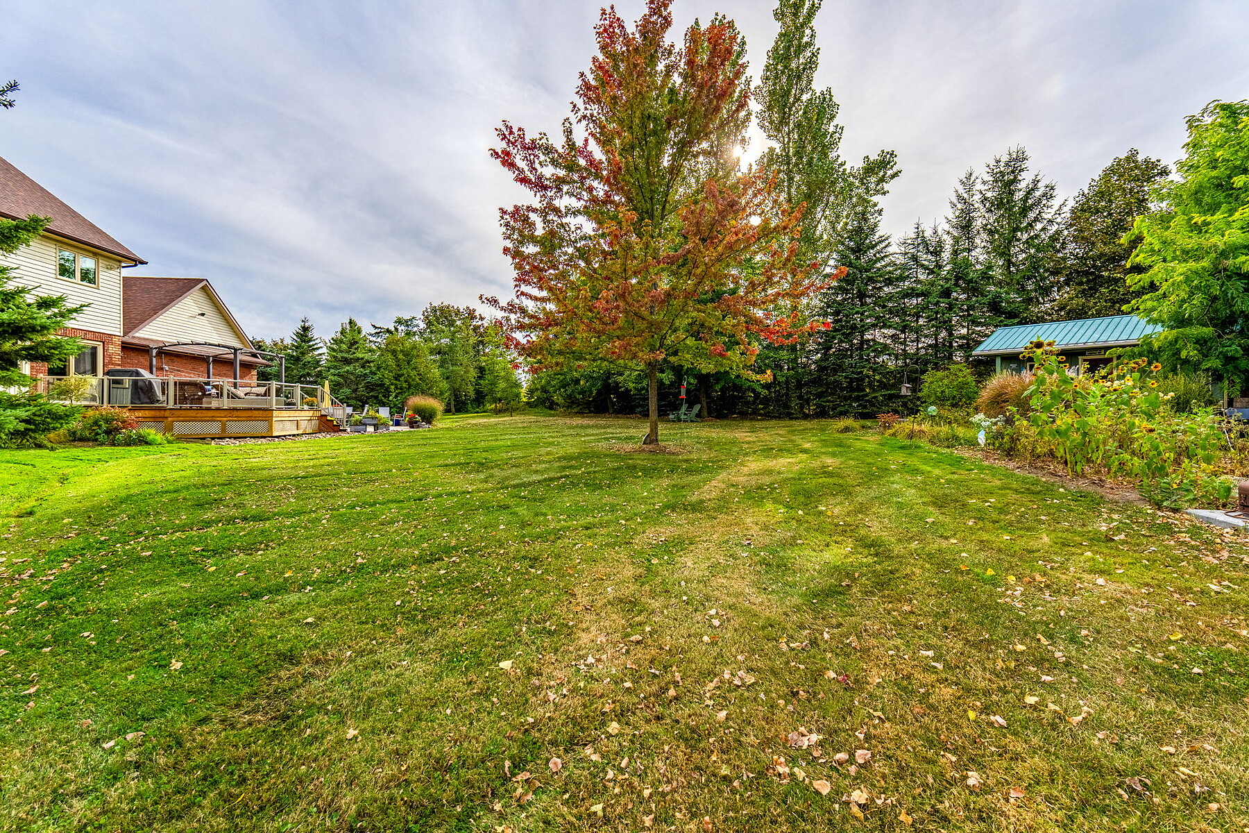  Clearview Station B&B - 物件實景