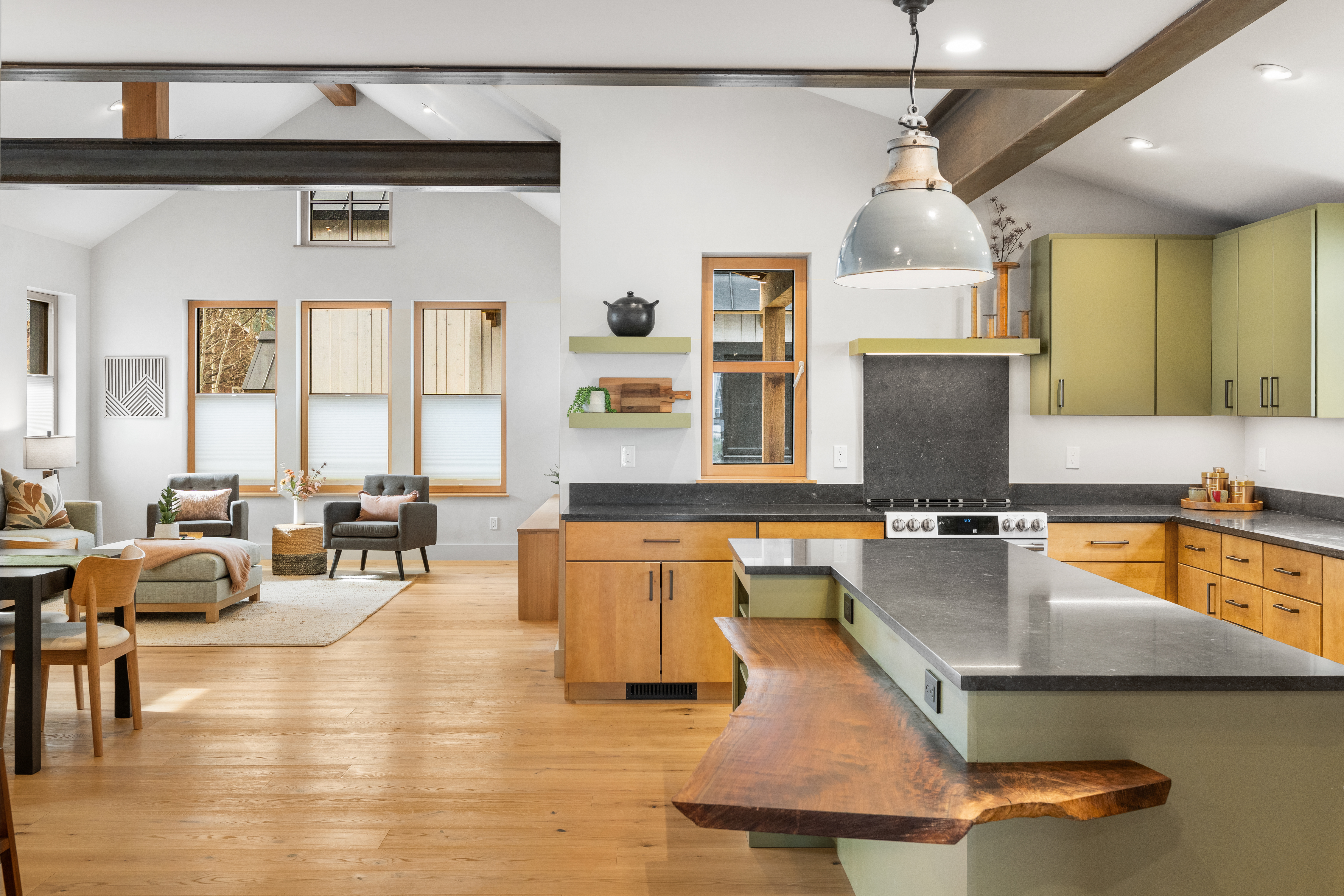  Cutting Edge Sustainable Construction with ADU in Crested Butte - 物件實景