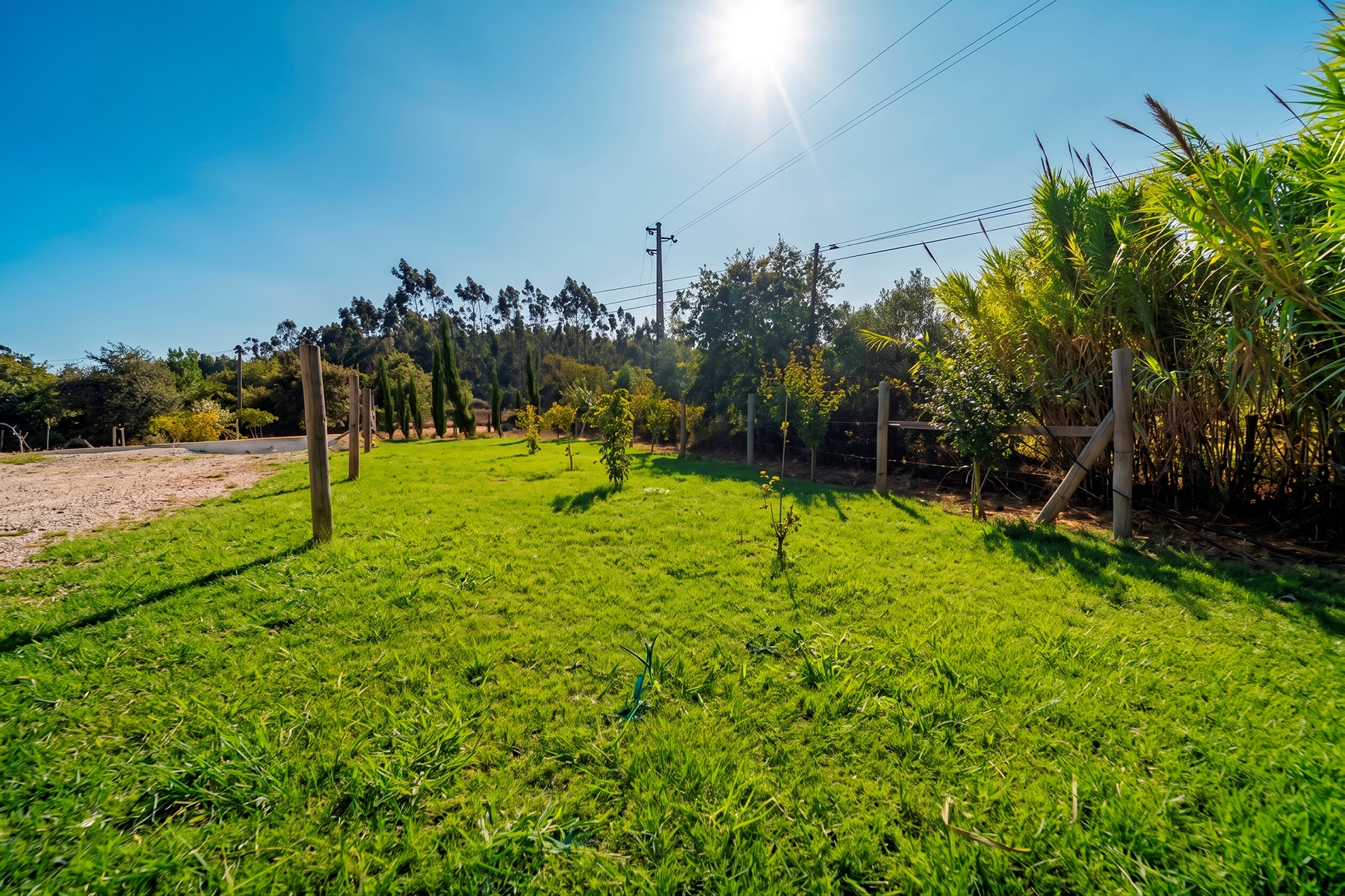  Detached house, 4 bedrooms, for Sale - 物件實景