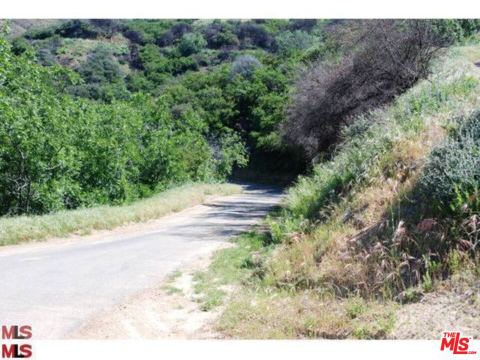 Malibu, California, 90265, United States, ,Land,For Sale,1767391