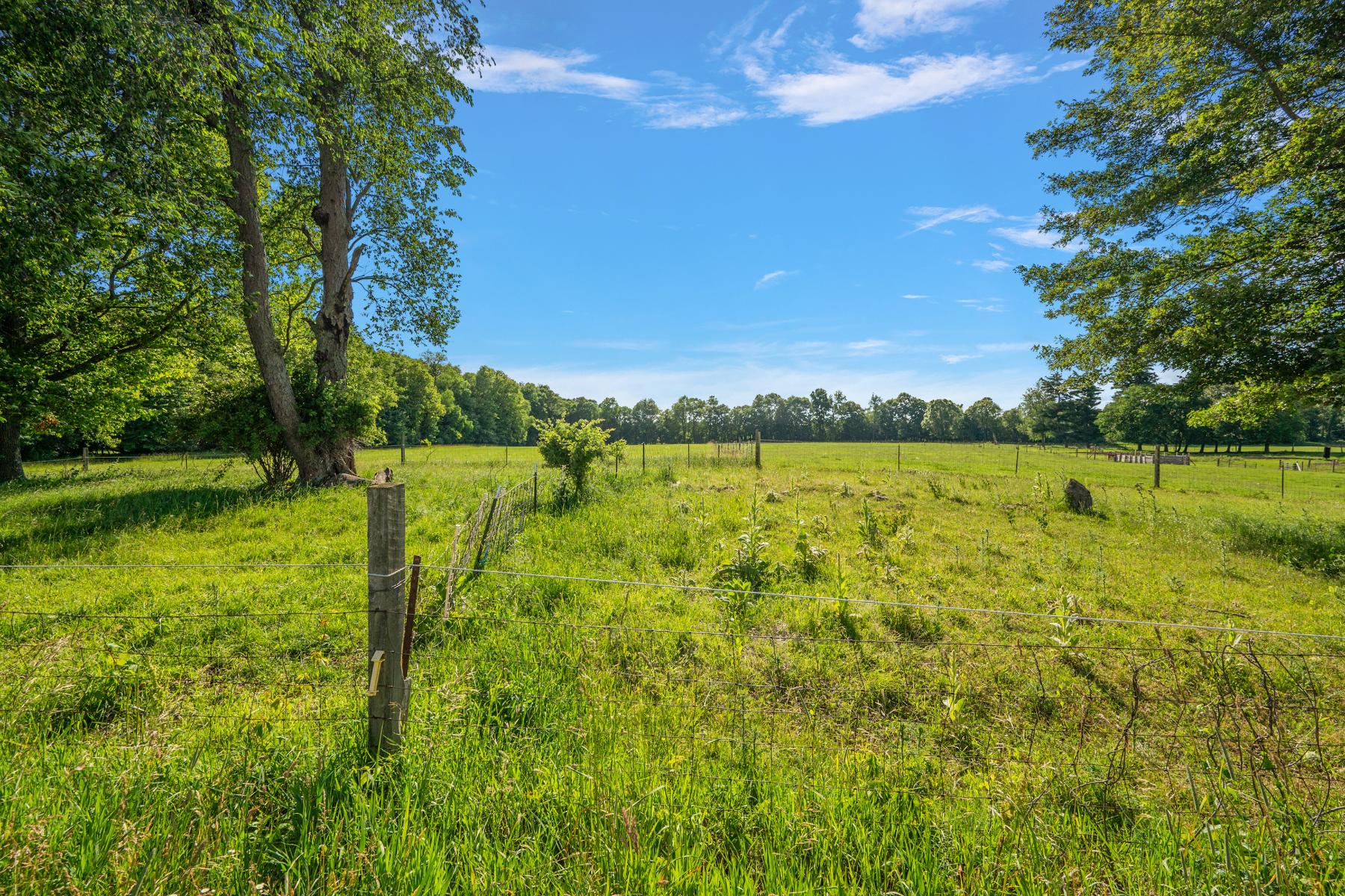  Groveland Township - 物件實景
