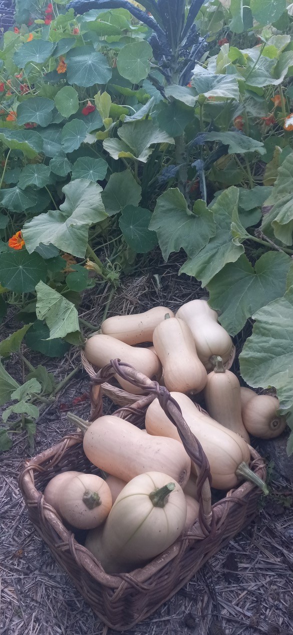 Sandpoint, Idaho, 83864, United States, 2 Bedrooms Bedrooms, ,2 BathroomsBathrooms,Residential,For Sale,2006058