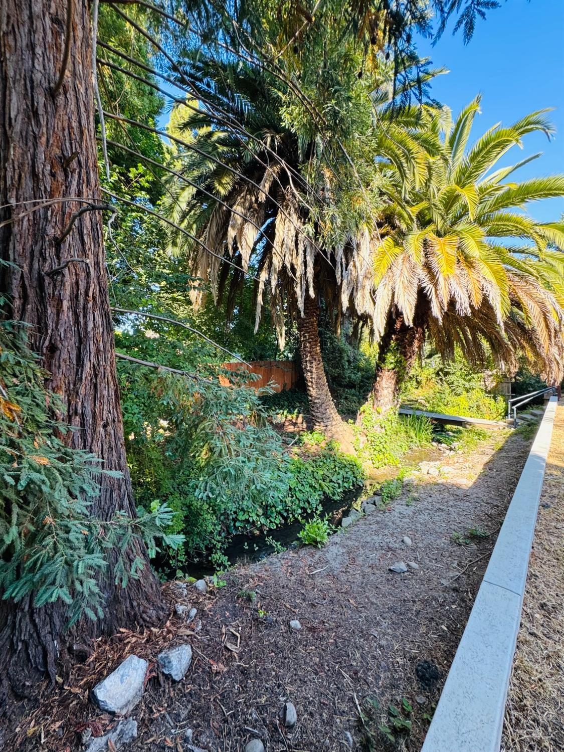 Santa Cruz, California, 95060, United States, 3 Bedrooms Bedrooms, ,2 BathroomsBathrooms,Residential,For Sale,2001181