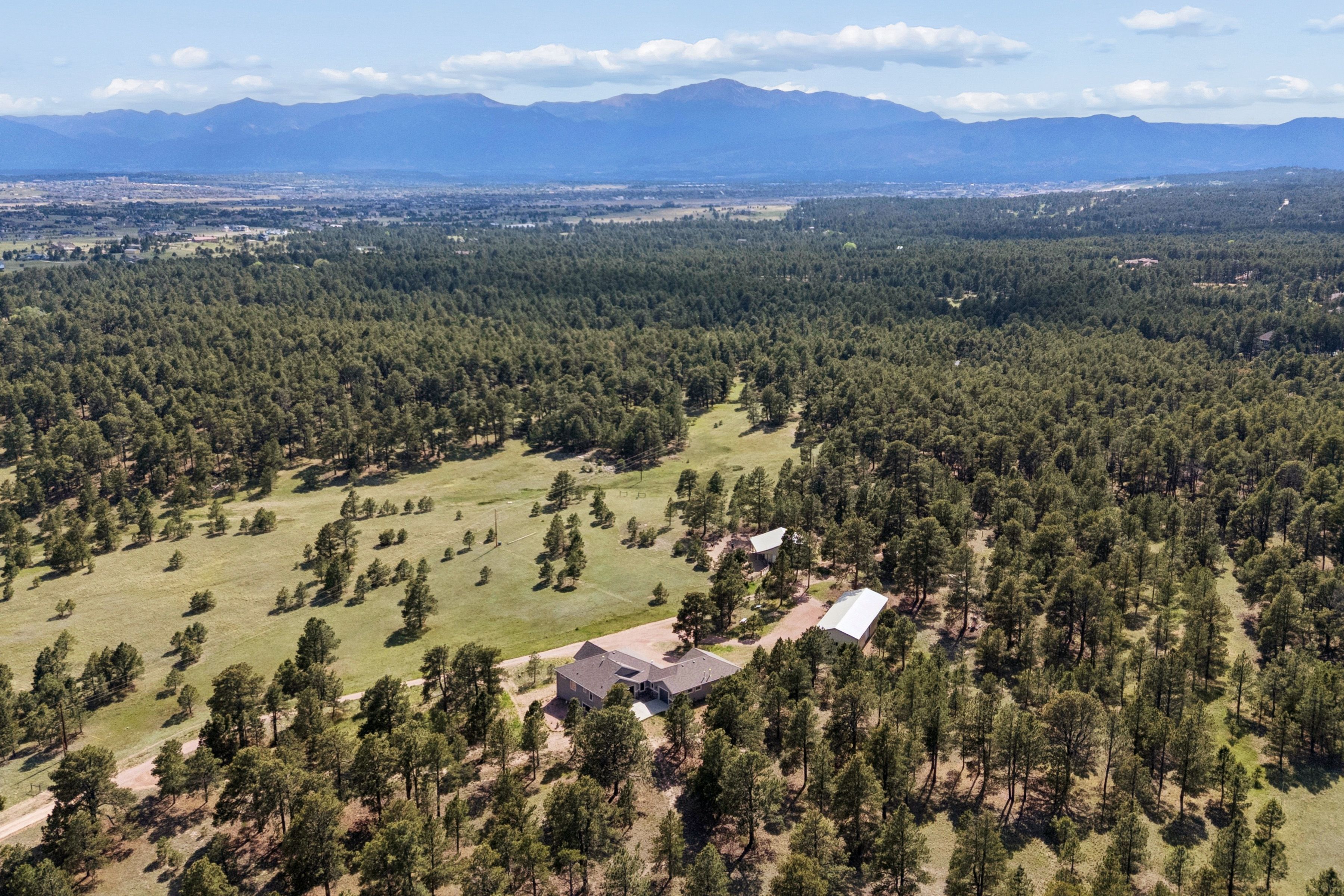  Rare and unique south Black Forest estate nestled on 37 acres - 物件實景