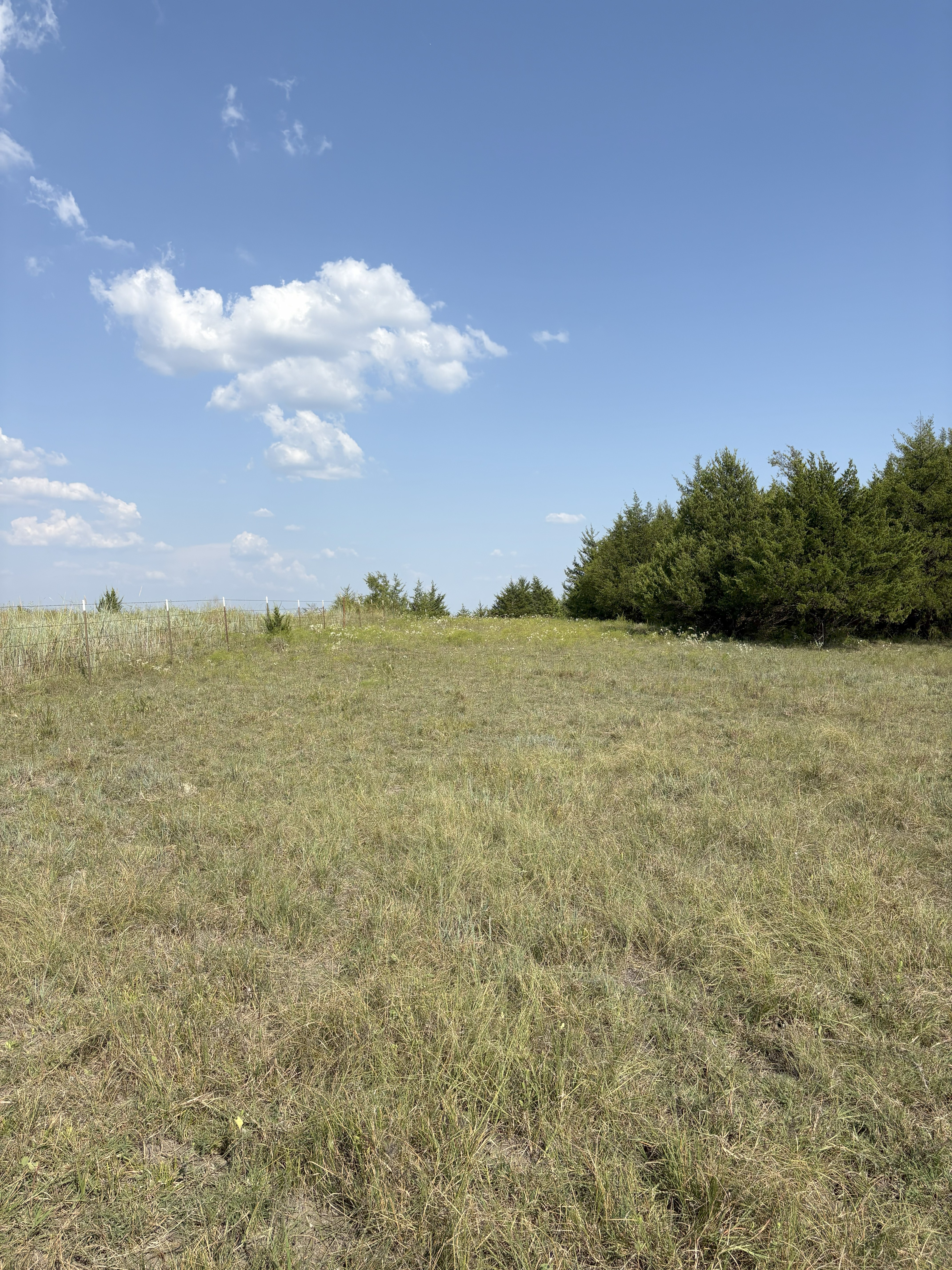 Roxton, Texas, 75477, United States, ,Land,For Sale,1979032