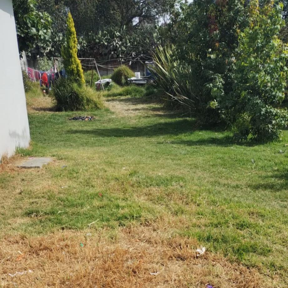 GONZALEZ Y PICHARDO, Toluca, Estado de méxico, 50120, Mexico, 1 Bedroom Bedrooms, ,Residential,For Sale,GONZALEZ Y PICHARDO,1521607
