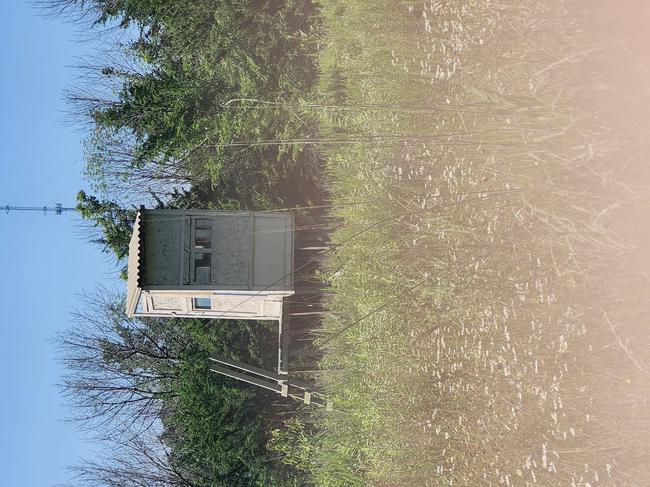 Princeton, Missouri, 64673, United States, ,Residential,For Sale,1943016
