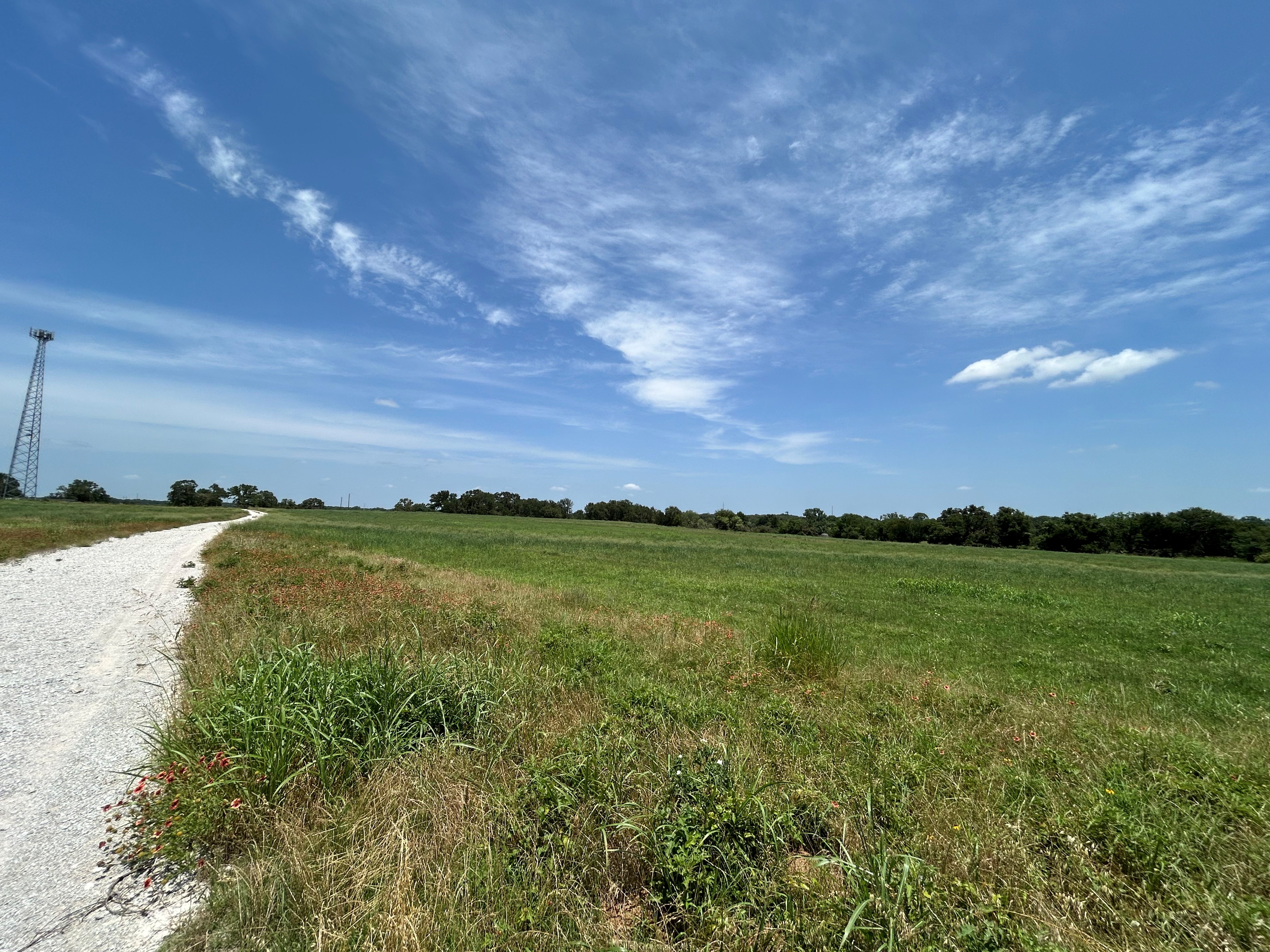 Bridgeport, Texas, 76426, United States, 4 Bedrooms Bedrooms, ,3 BathroomsBathrooms,Residential,For Sale,1701236