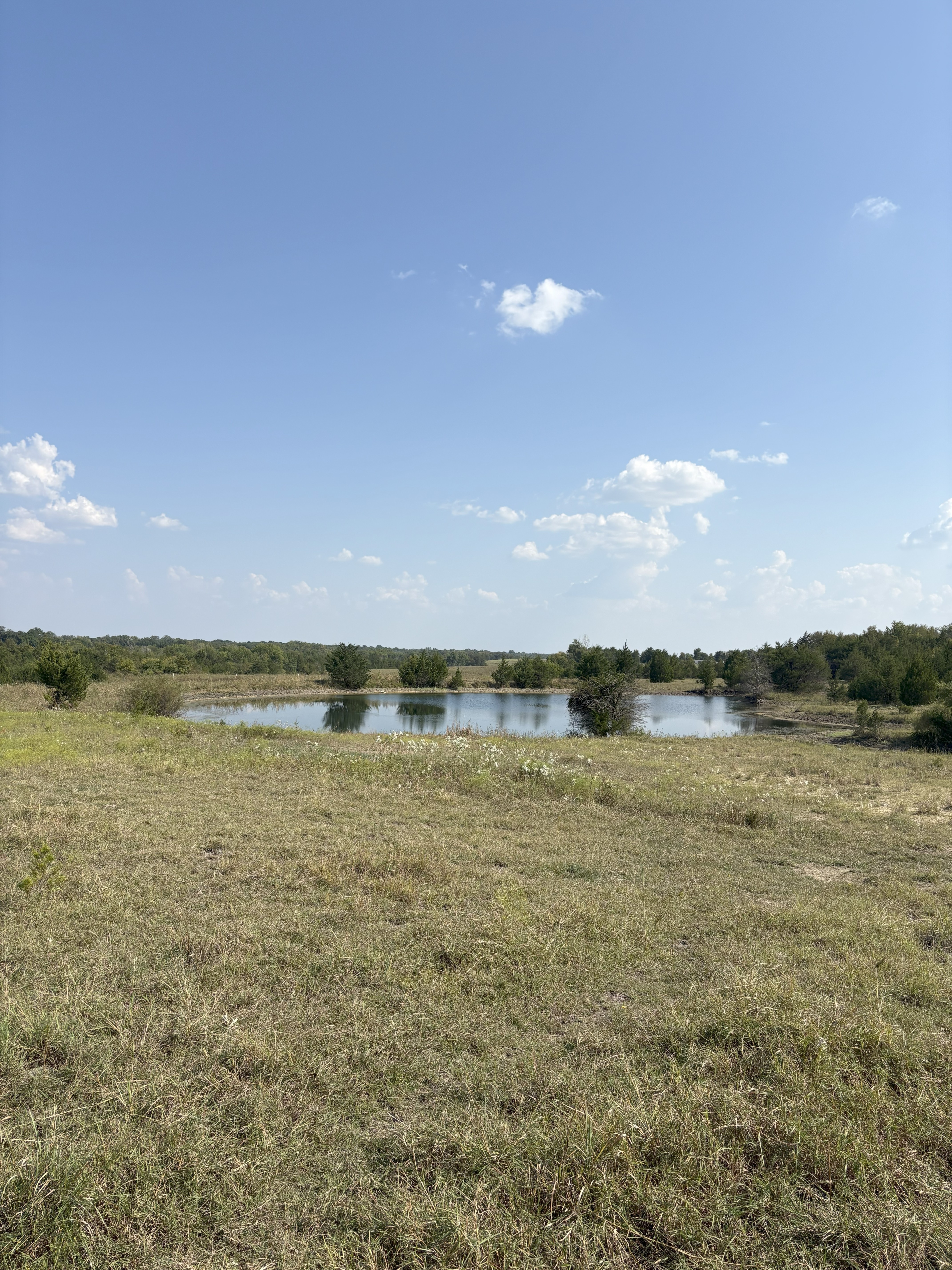 Roxton, Texas, 75477, United States, ,Land,For Sale,1979032