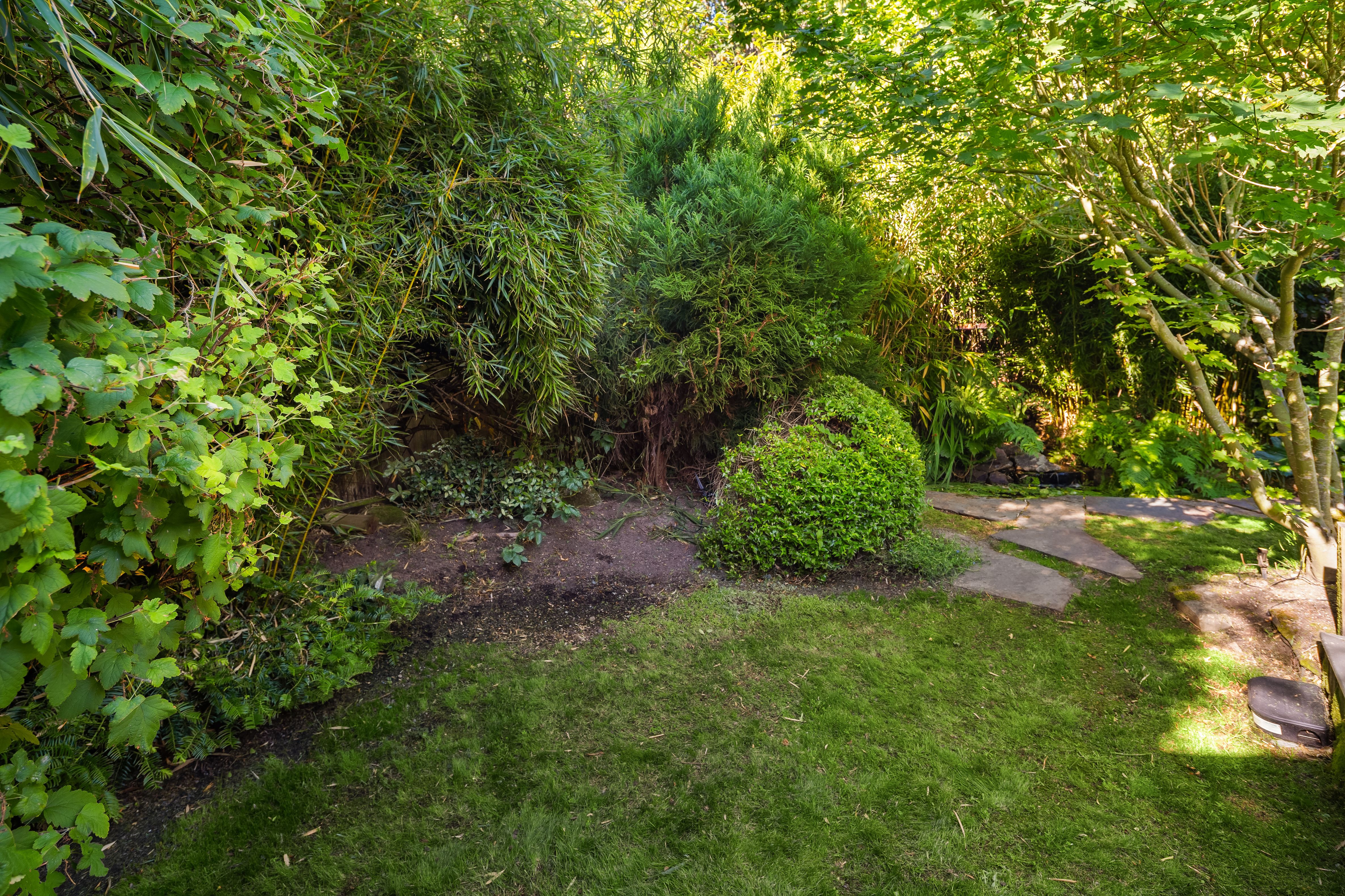  5414 SW Beach Drive Terr, Seattle, WA 98116 - 物件實景