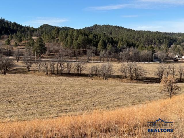 Whitewood, South Dakota, 57793, United States, ,Land,For Sale,2005970