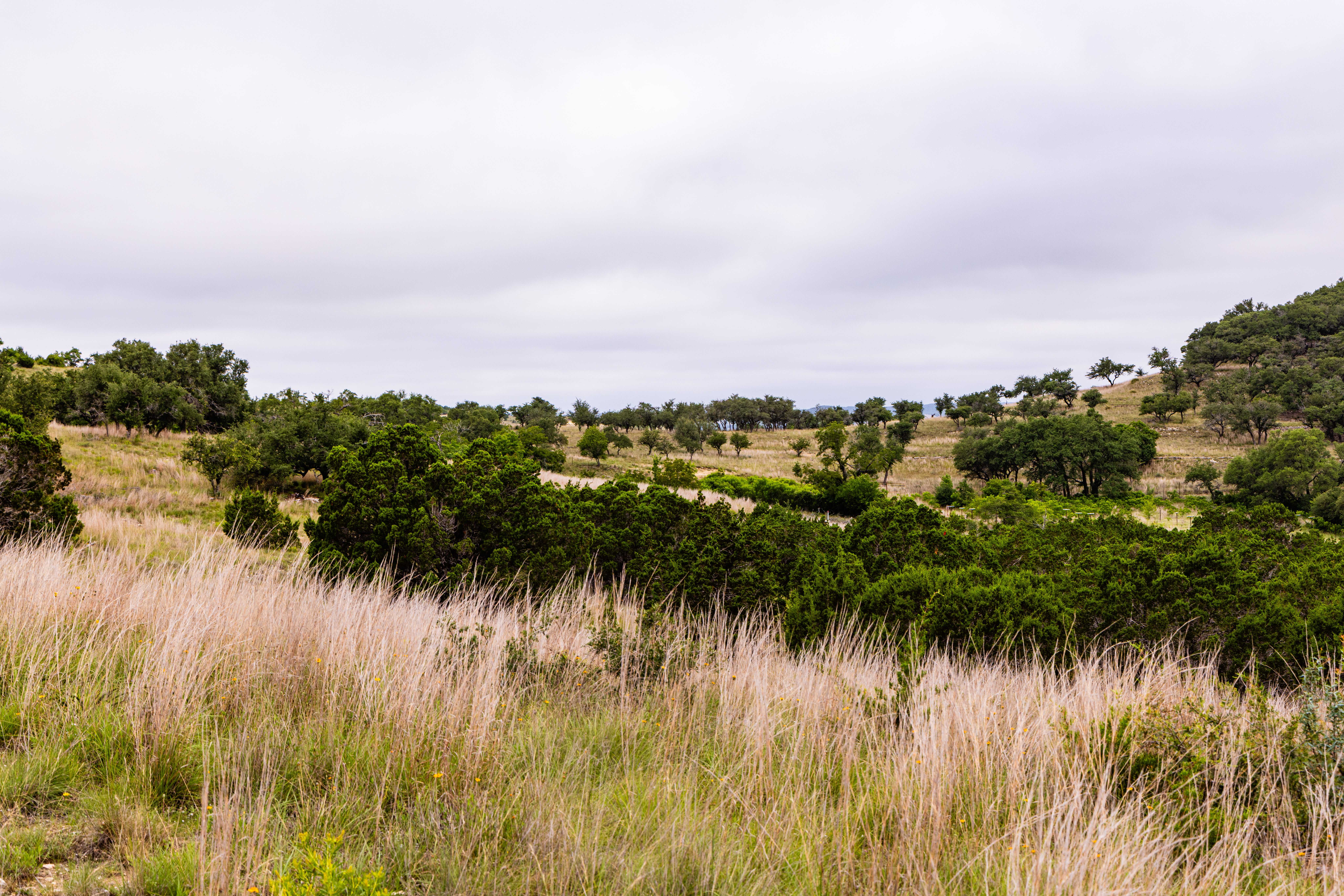  Expansive 10-Acre Lot - 物件實景