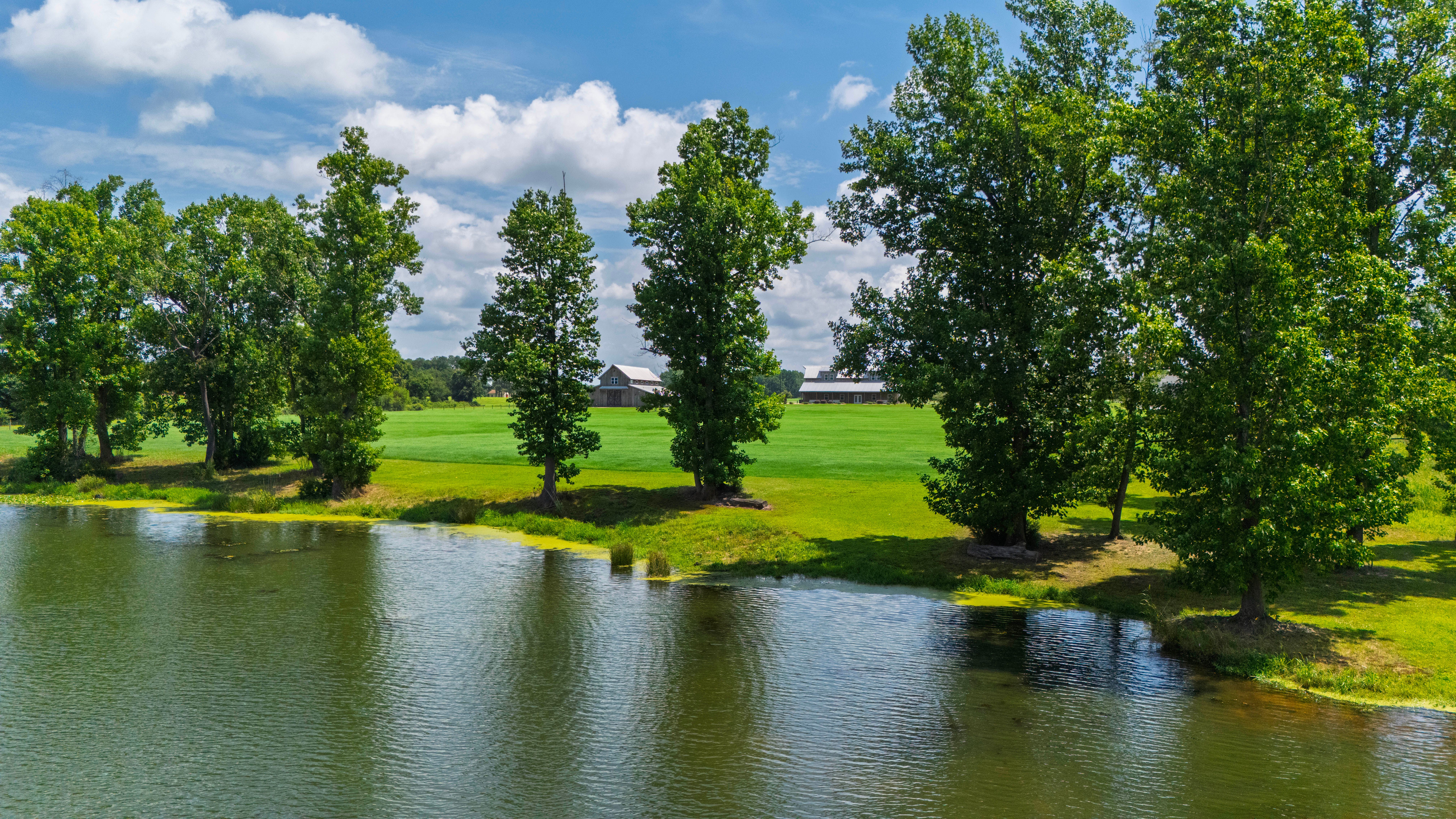  2725 Benson Hardee Road, Benson, NC 27504 - 物件實景
