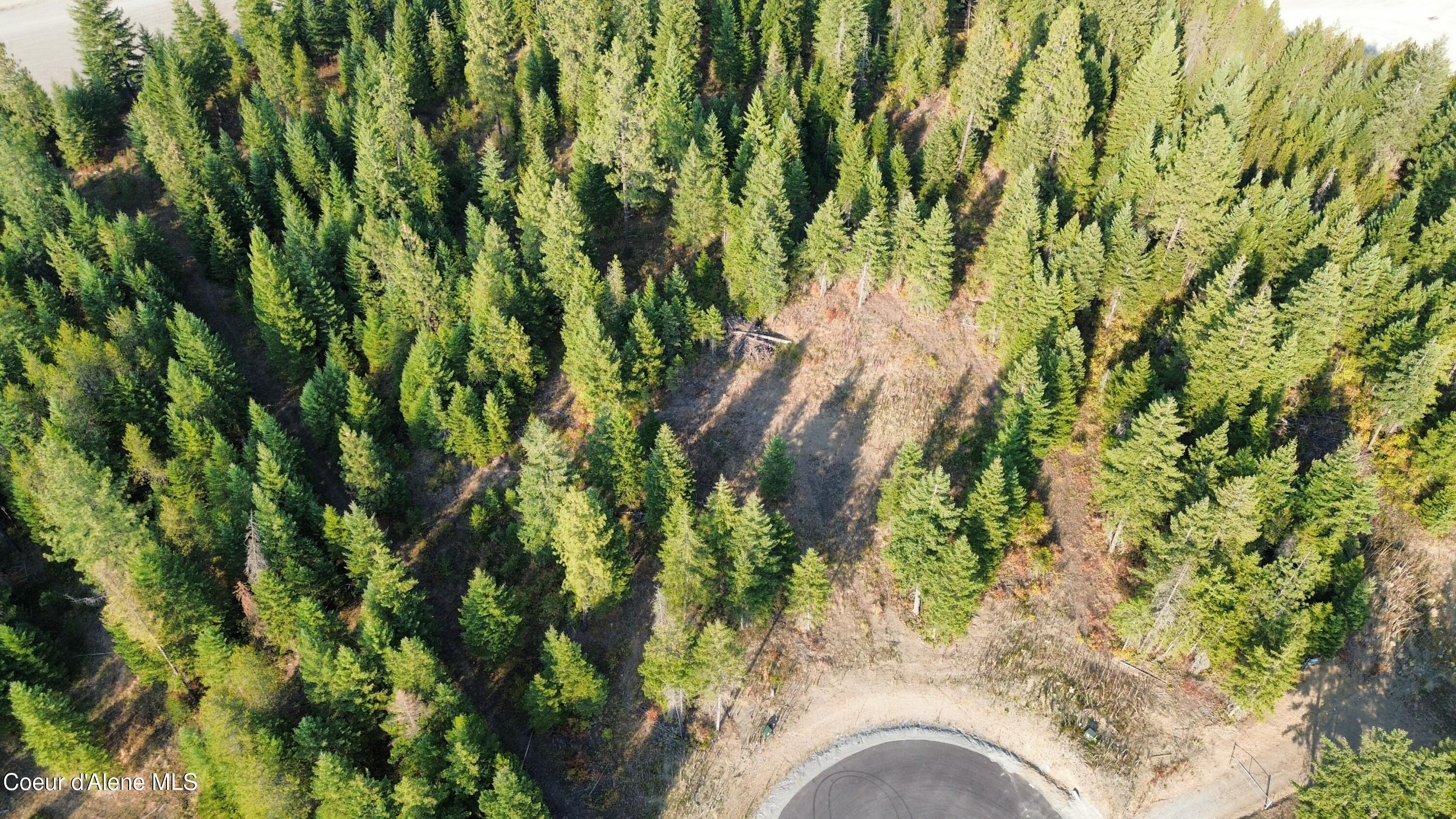 Spirit Lake, Idaho, 83869, United States, ,Land,For Sale,1981864