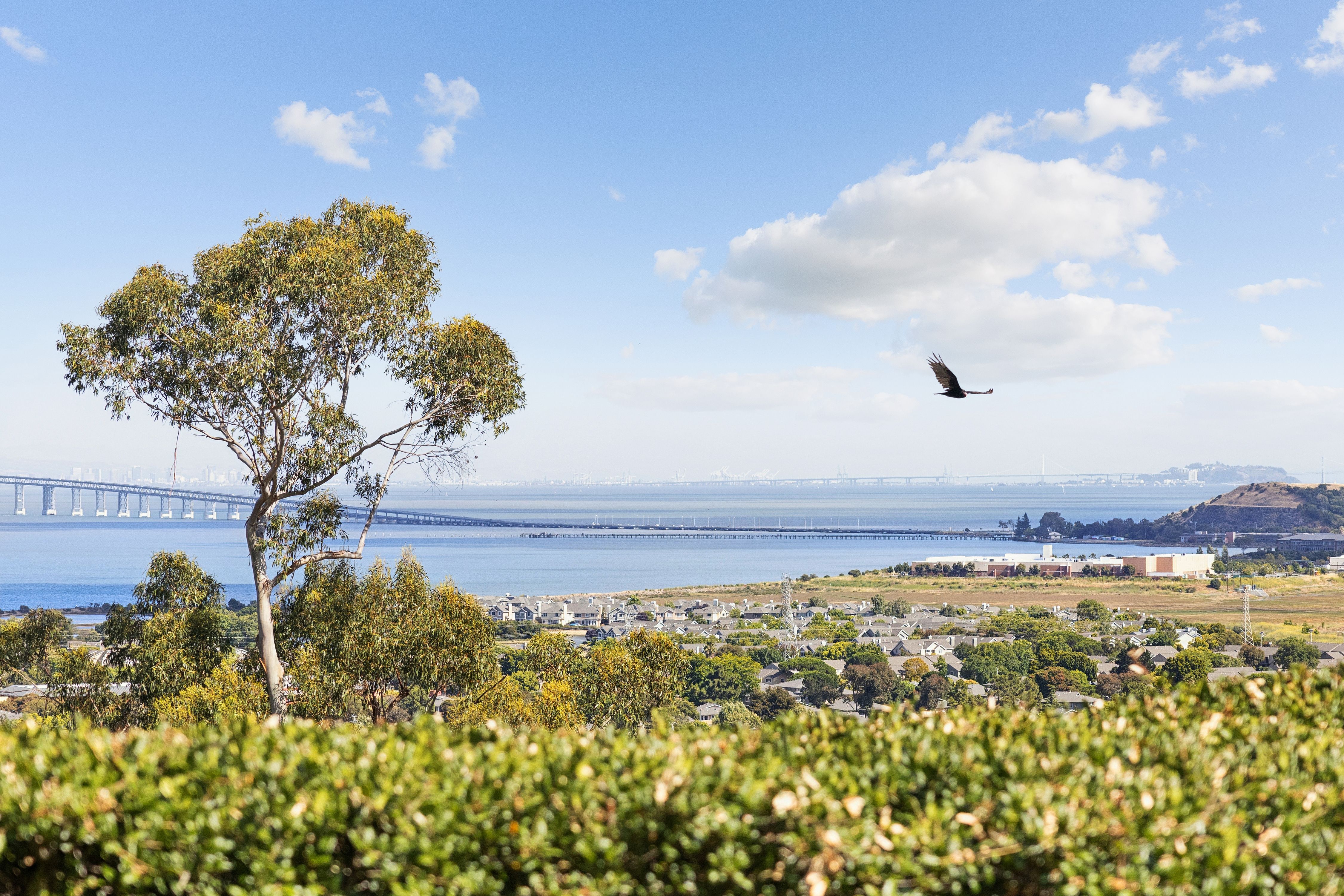  Extraordinary Estate with Panoramic Bay and Mountain Vistas - 物件實景