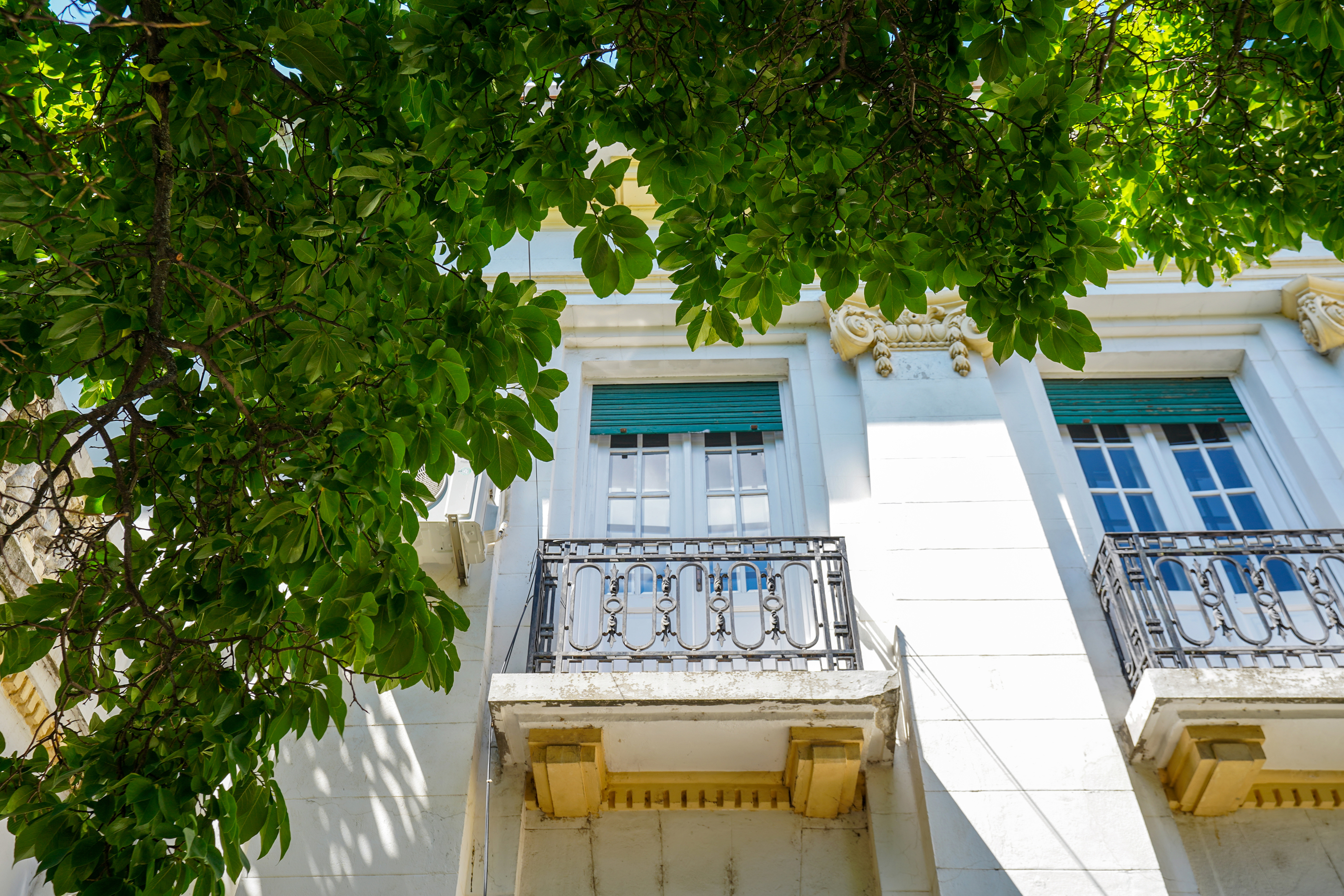  A Collector’s Residence on Kiseleff – The Architectural Legacy of Burcu & Marcu - 物件實景