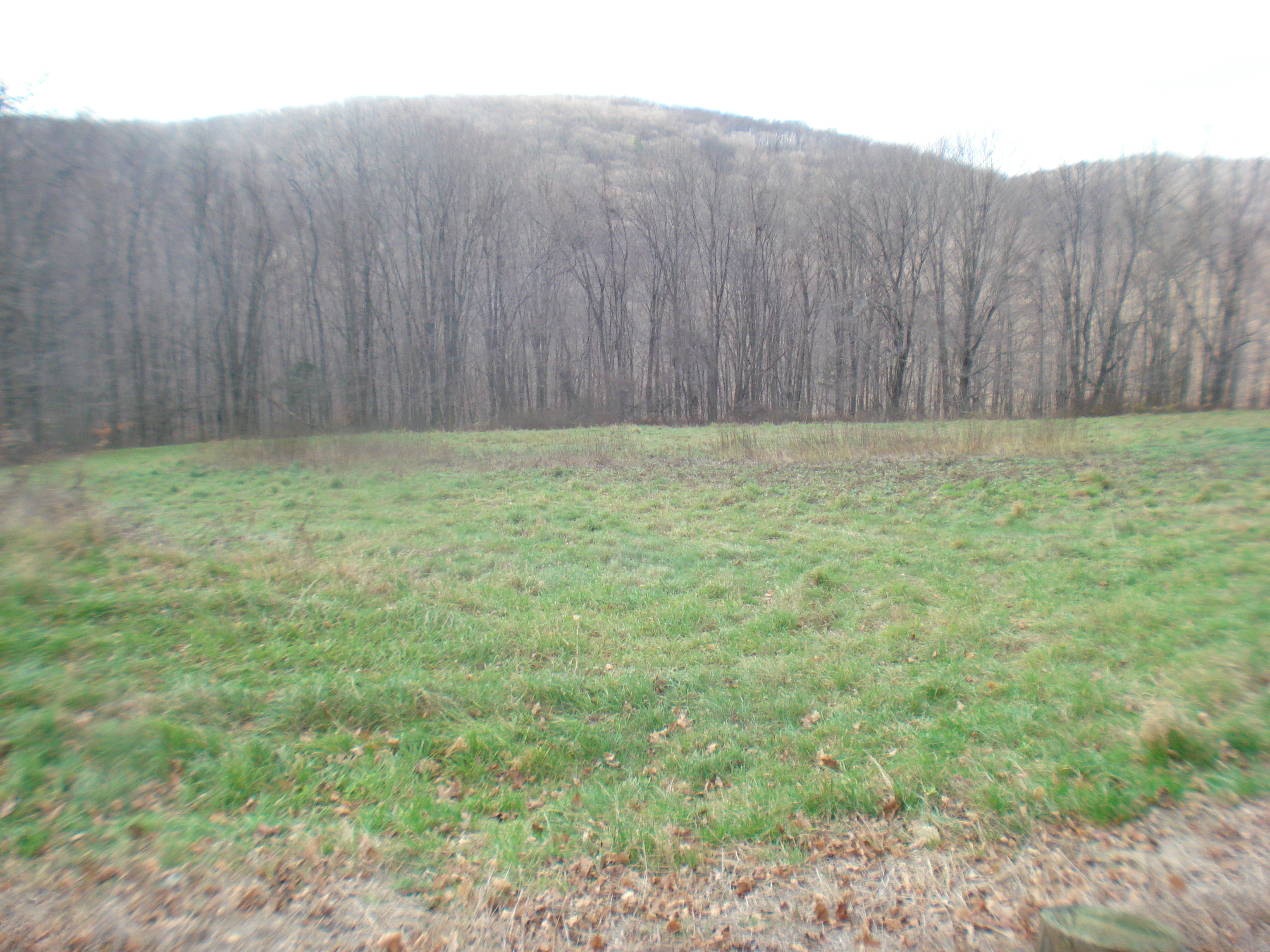  Rte 39 South, State Route - 物件實景