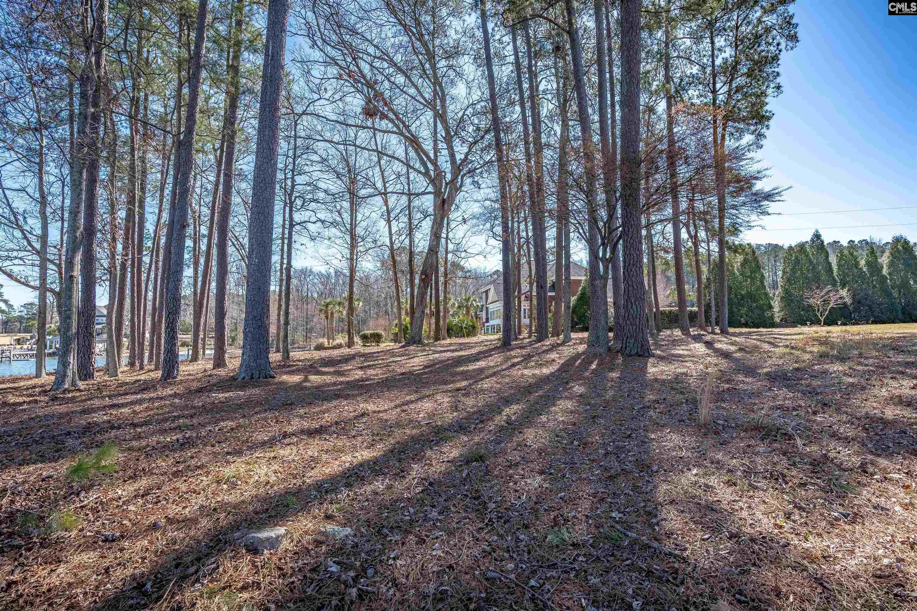 Lexington, South Carolina, 29072, United States, ,Land,For Sale,1709800