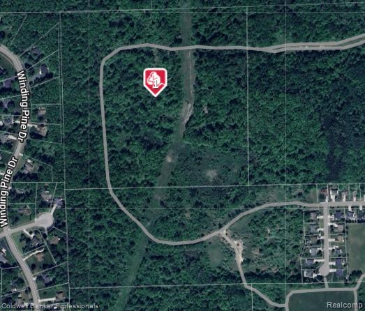 Metamora, Michigan, 48455, United States, ,Land,For Sale,1736755