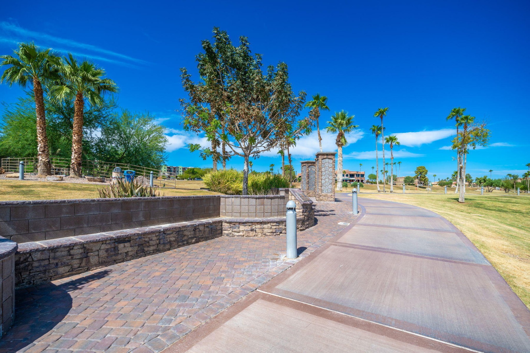  15618 E Cactus Drive  Fountain Hills, AZ - 物件實景