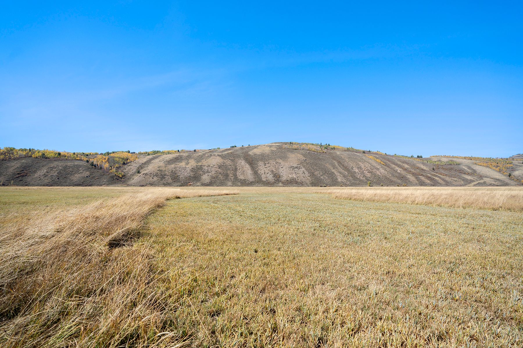  Spring Gulch Ranch - 物件實景