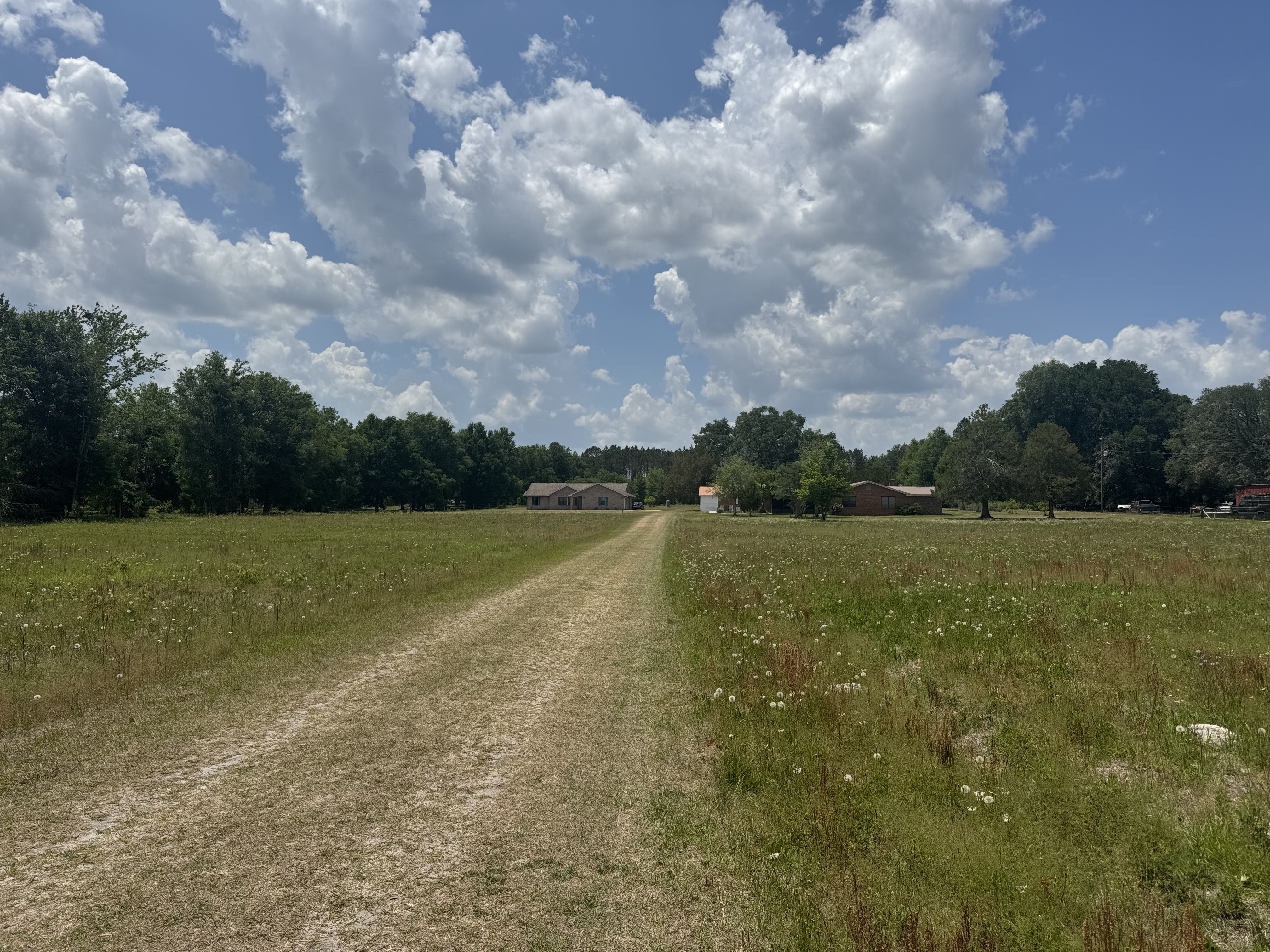 LAKE CITY, Florida, 32024, United States, 4 Bedrooms Bedrooms, ,2 BathroomsBathrooms,Residential,For Sale,1794227