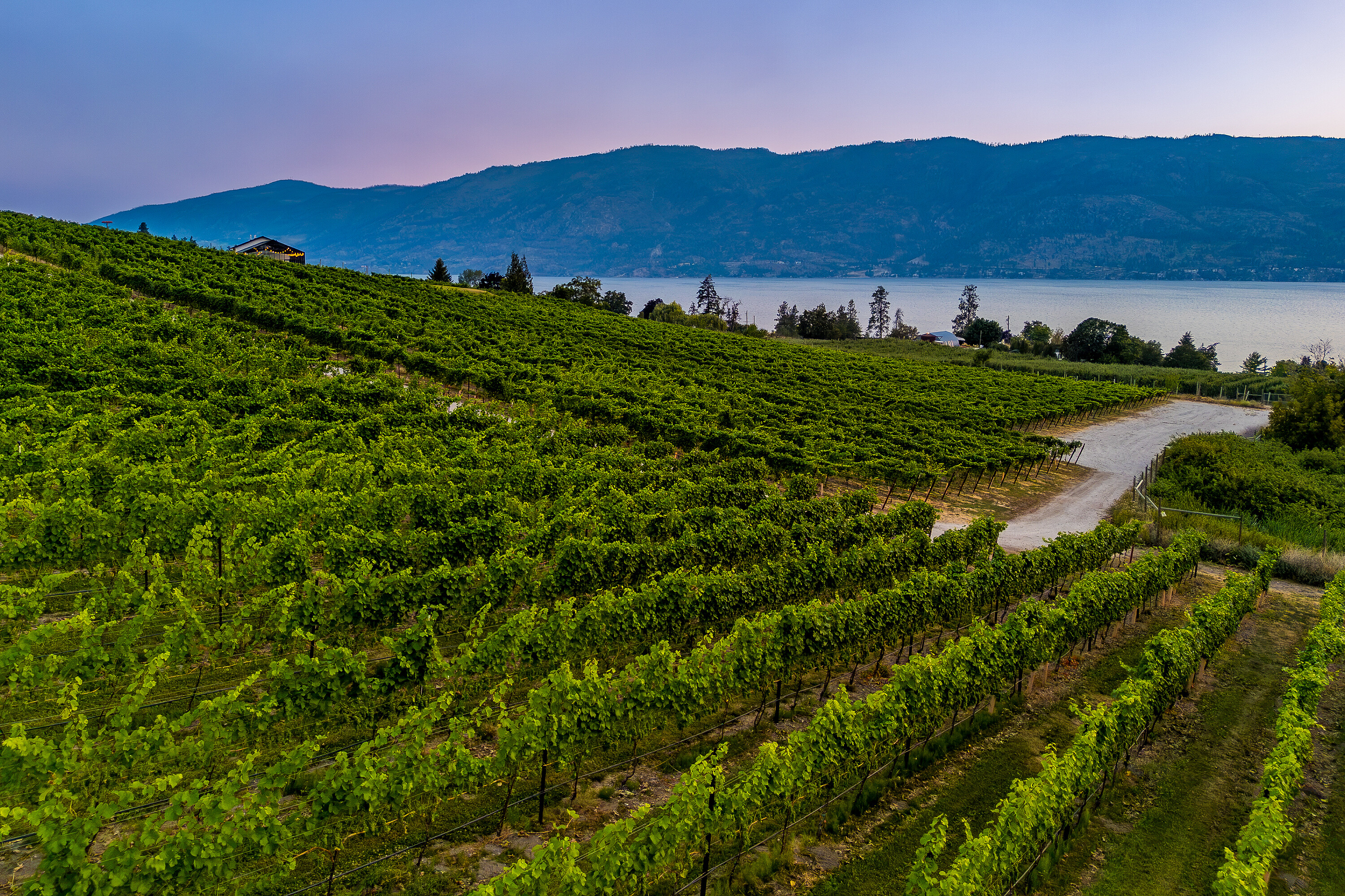  Scenic Vineyard Home - 物件實景