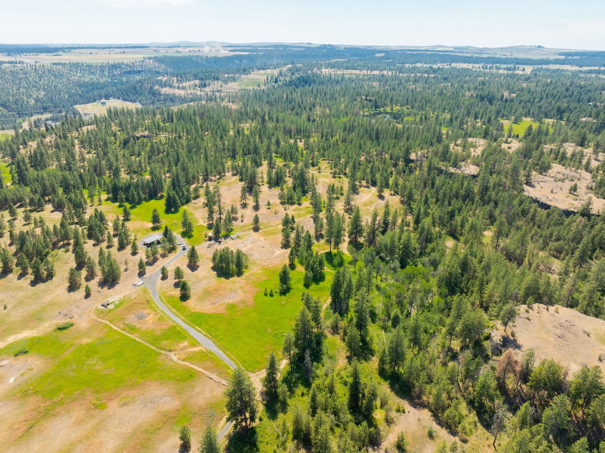 Nine Mile Falls, Washington, 99026, United States, ,Land,For Sale,1960887