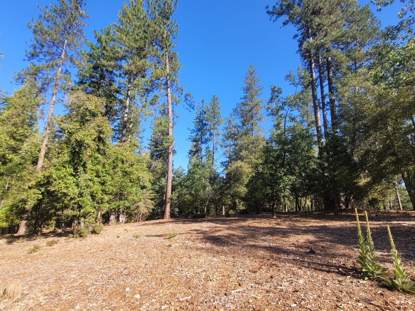 Grass Valley, California, 95945, United States, 3 Bedrooms Bedrooms, ,2 BathroomsBathrooms,Residential,For Sale,1974431