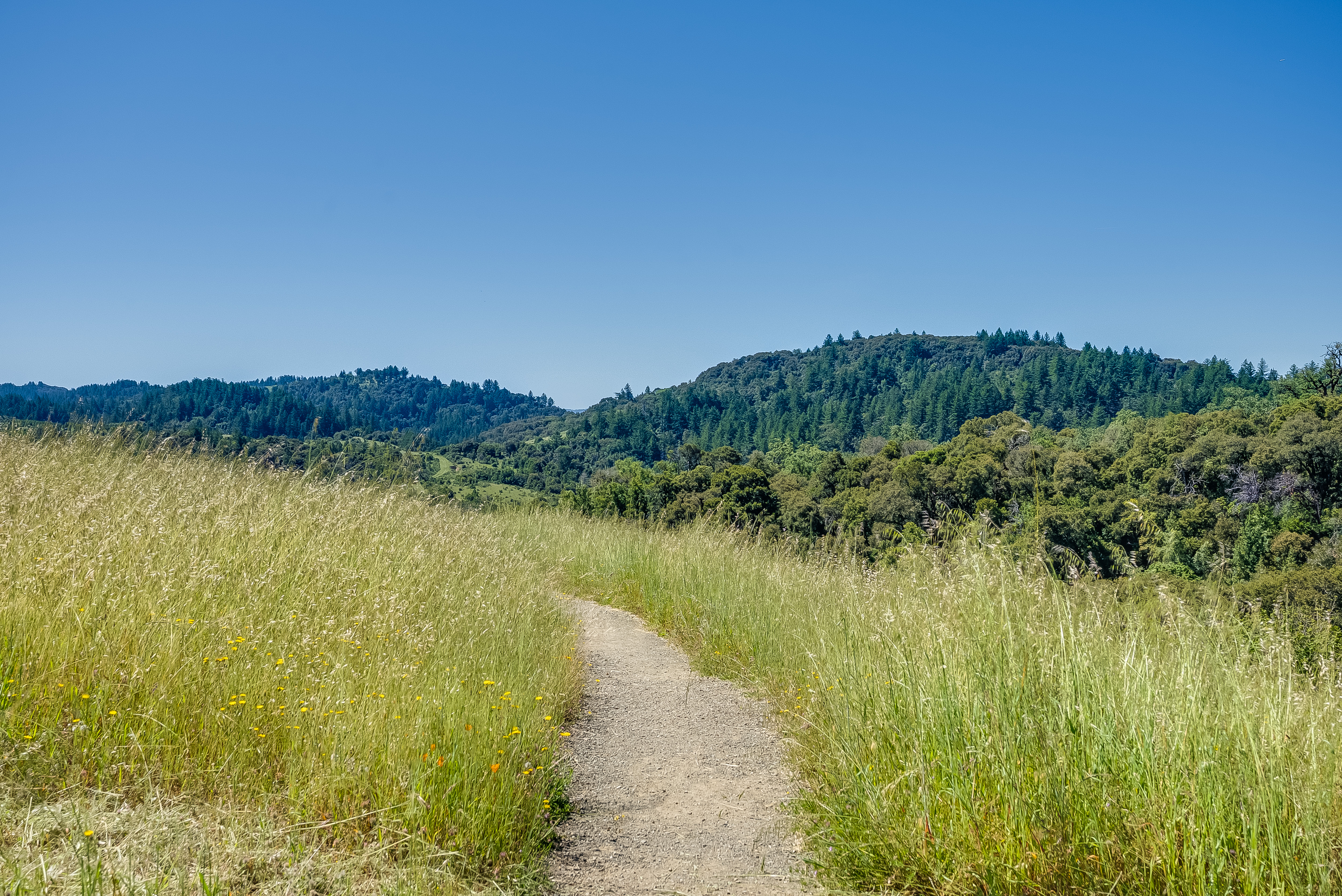  Exceptional Five-Acre Estate Opportunity with Bay Area Views - 物件實景