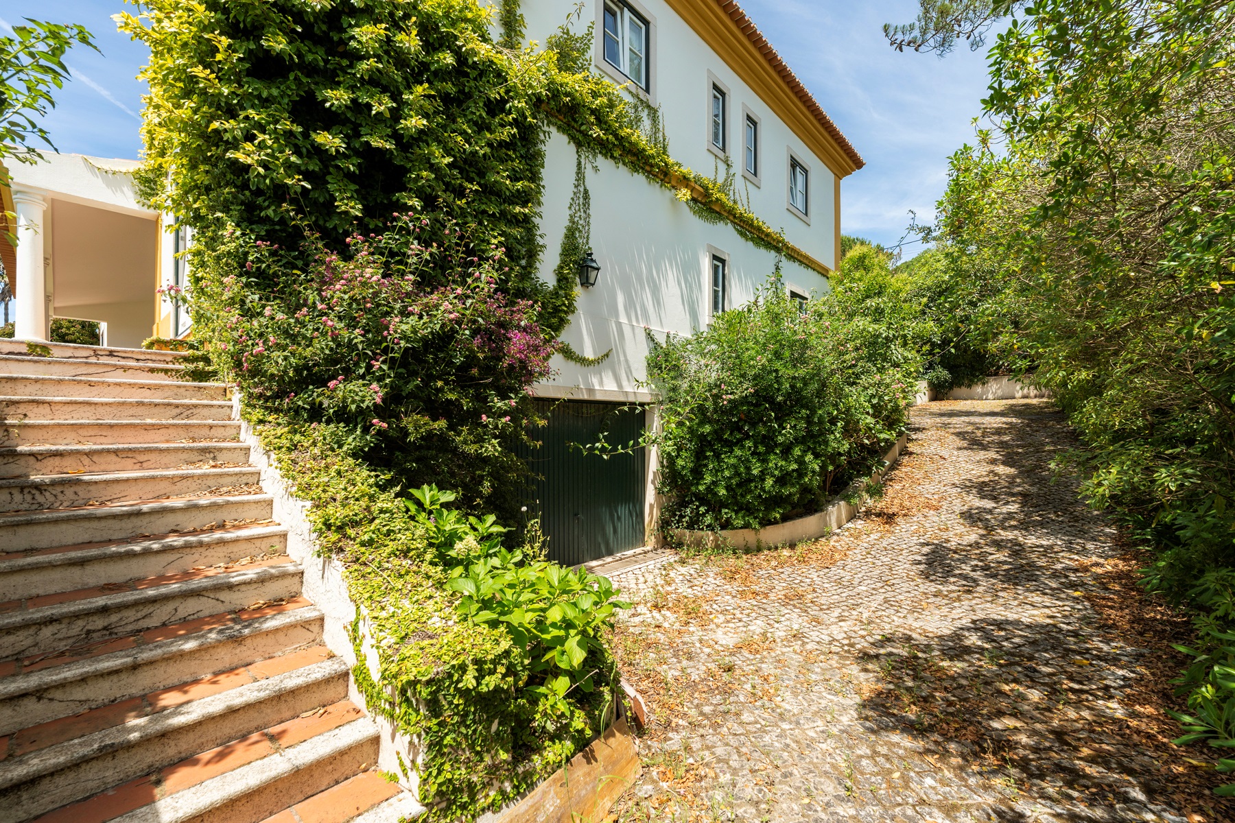  Detached house, 8 bedrooms, for Sale - 物件實景