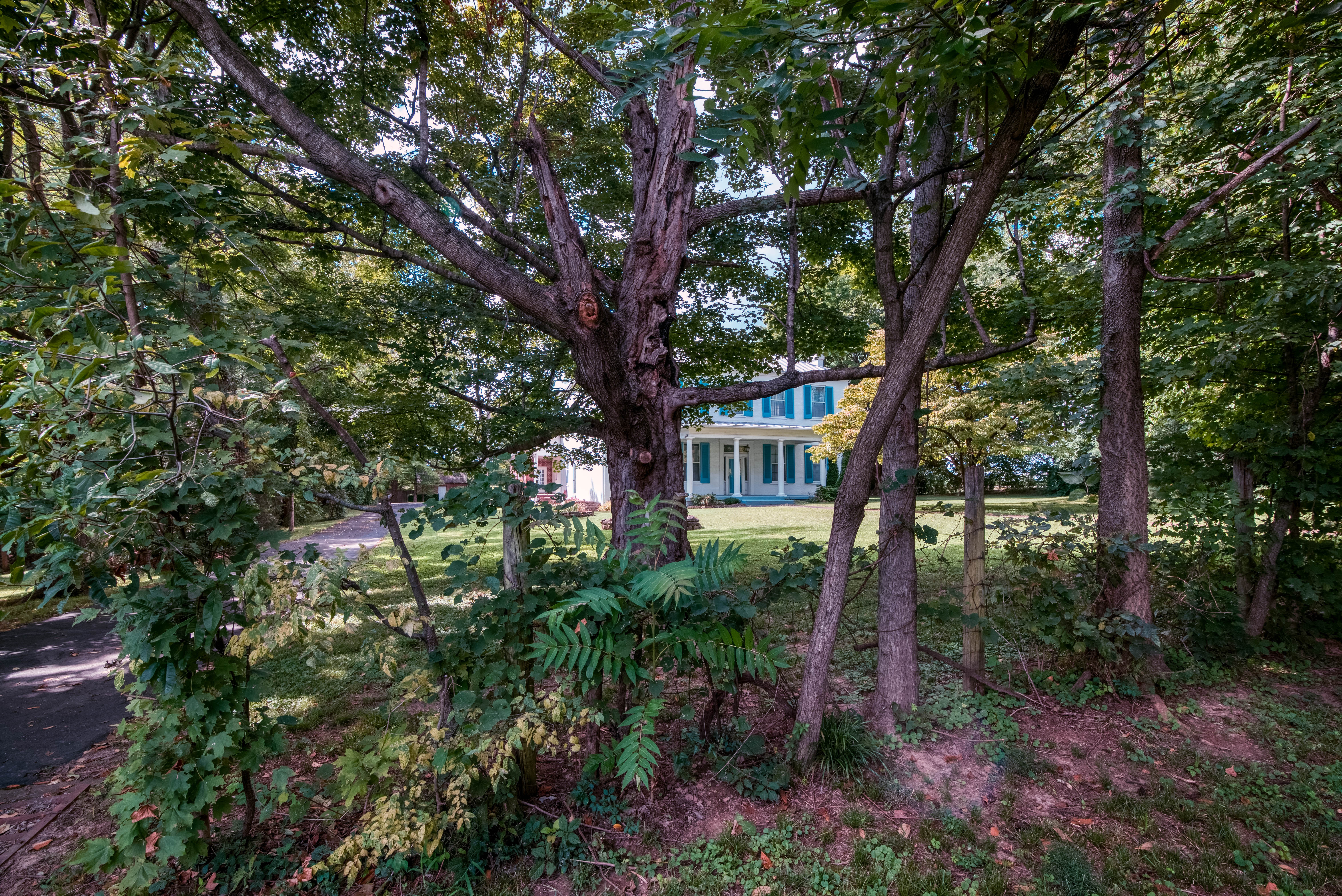 Shepherdsville, Kentucky, 40165, United States, 4 Bedrooms Bedrooms, ,3 BathroomsBathrooms,Residential,For Sale,1923663