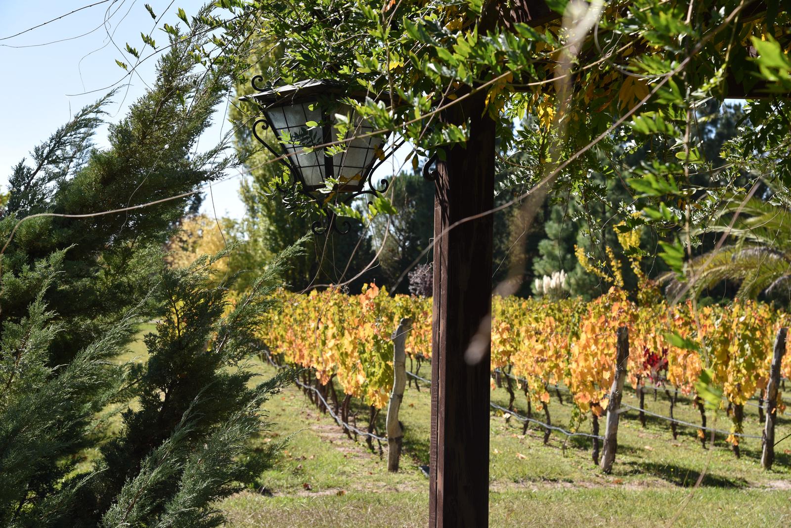 Lujan De Cuyo, AR-M, AR, 5 Bedrooms Bedrooms, ,8 BathroomsBathrooms,Residential,For Sale,1999071