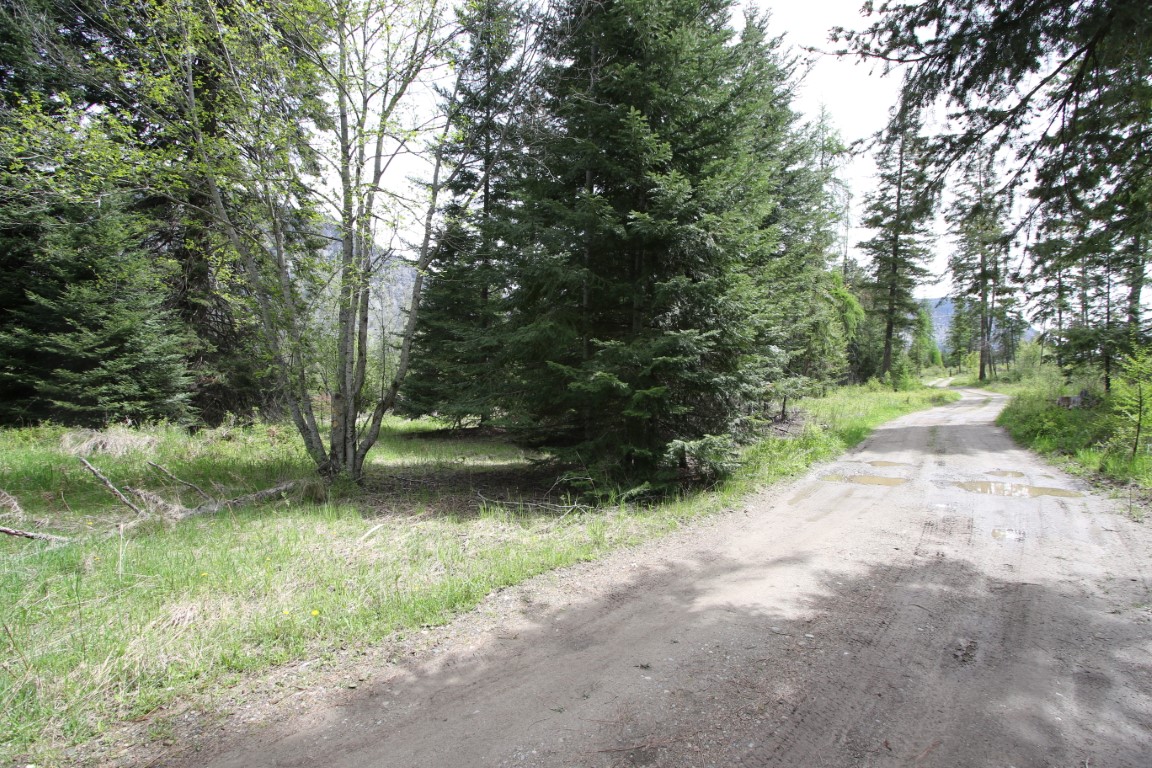Plains, Montana, 59859, United States, ,Residential,For Sale,1921183