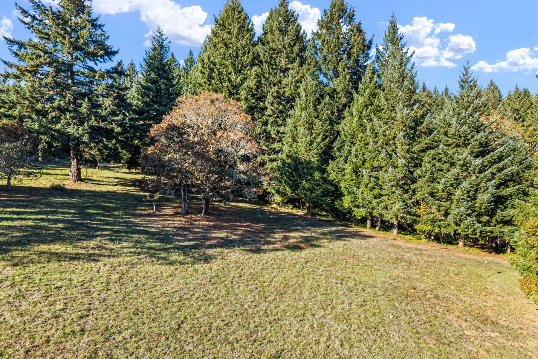  24027 HAWLEY CREEK RD Monroe, OR 97456 - 物件實景