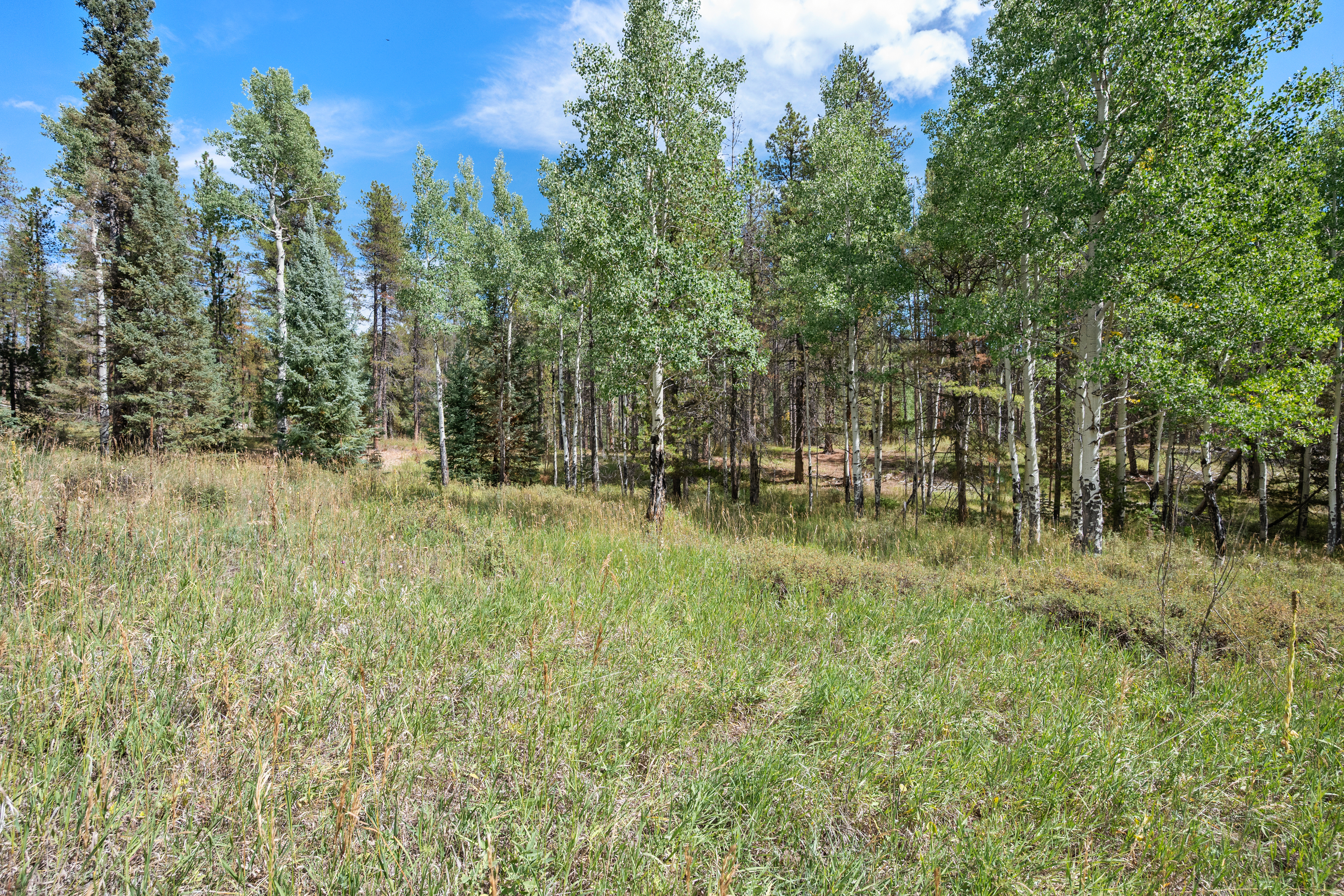  Peaceful Build-Ready Lot in Quiet Indian Springs Just 10 Min to 285 - 物件實景