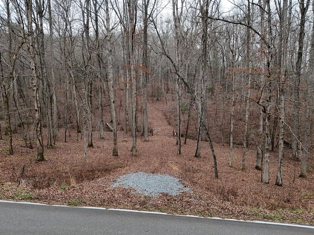 Blue Ridge, Georgia, 30513, United States, ,Land,For Sale,1859049
