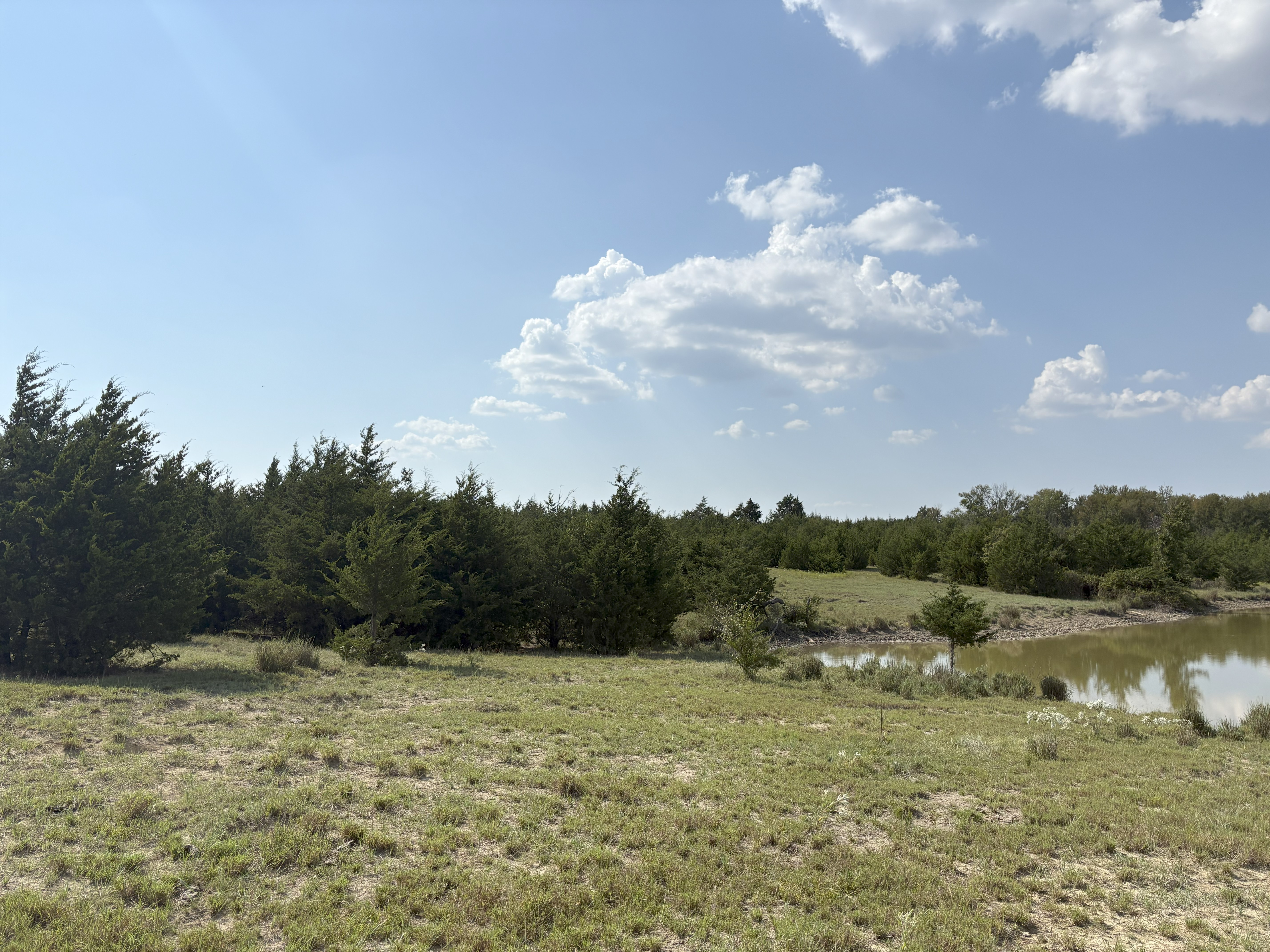 Roxton, Texas, 75477, United States, ,Land,For Sale,1979032