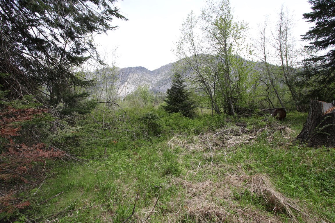 Plains, Montana, 59859, United States, ,Residential,For Sale,1921183